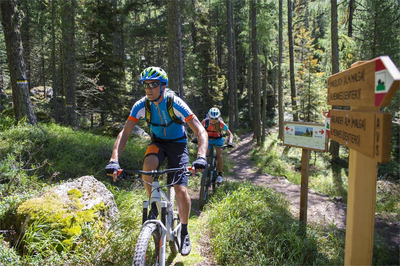 Uphill Monte S. Vigilio Parcines 5 suedtirol.info