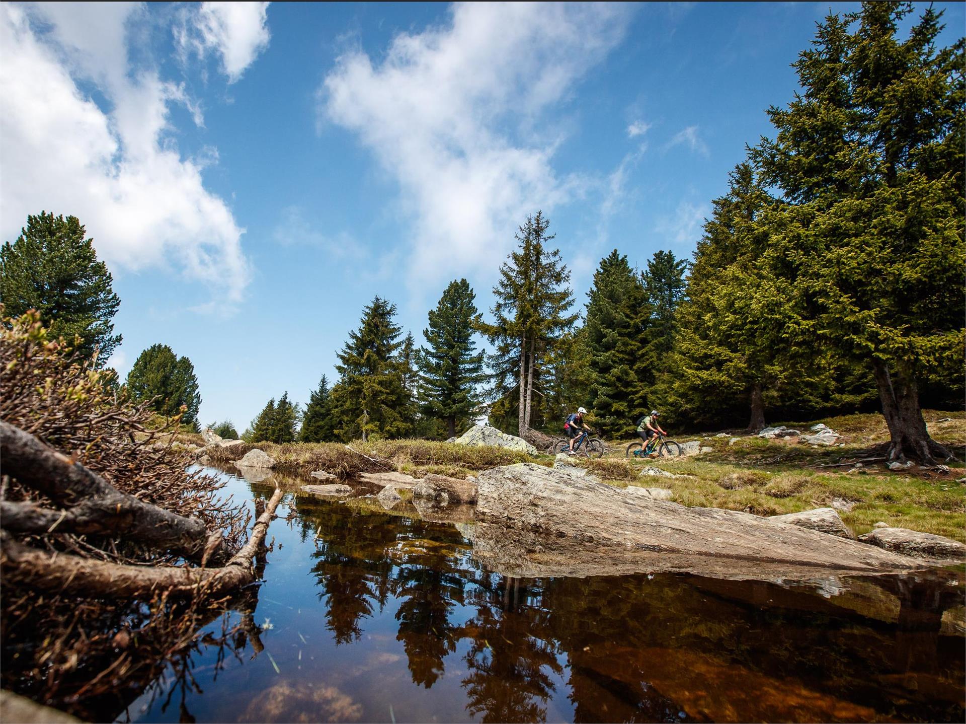 Uphill Monte S. Vigilio Parcines 3 suedtirol.info