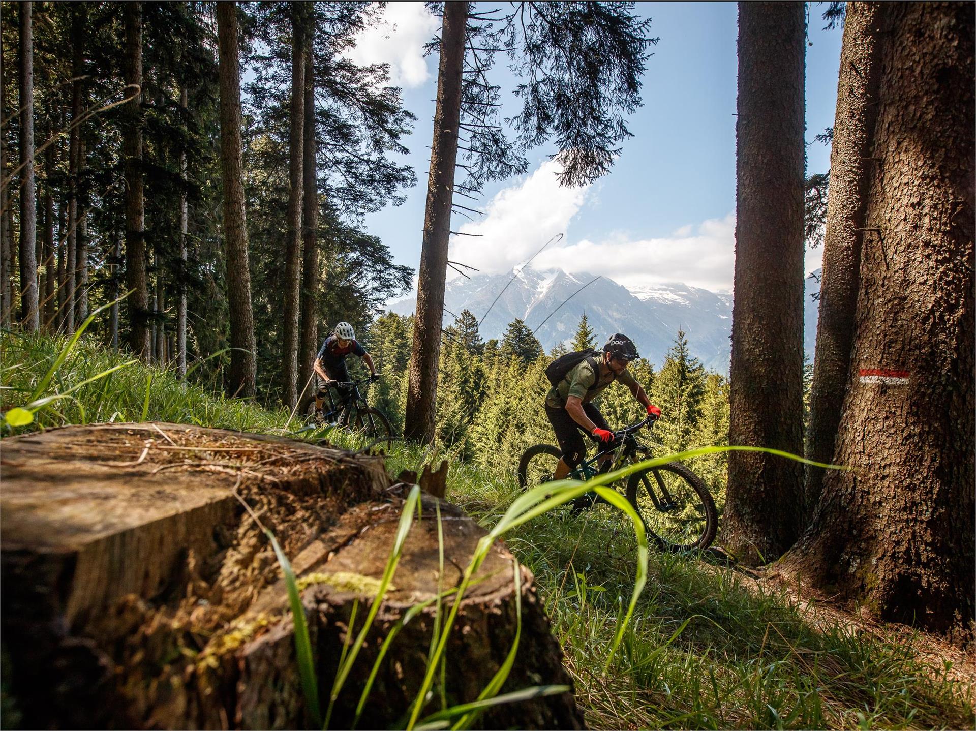 Uphill Monte S. Vigilio Parcines 6 suedtirol.info