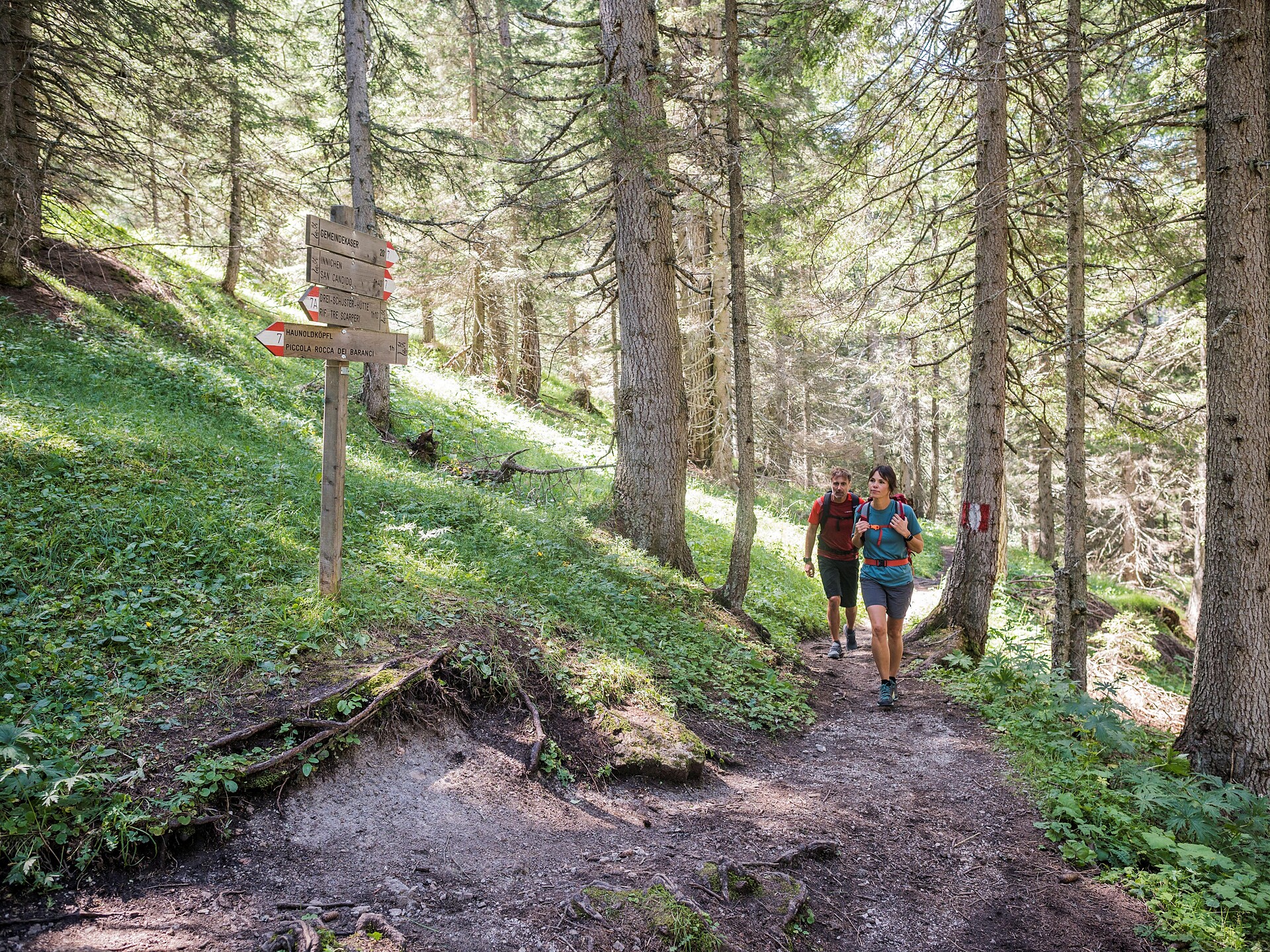 To San Candido via the "Maierkaser", "Elslerkaser" and "Rohrwald" -  - #1 - suedtirol.info