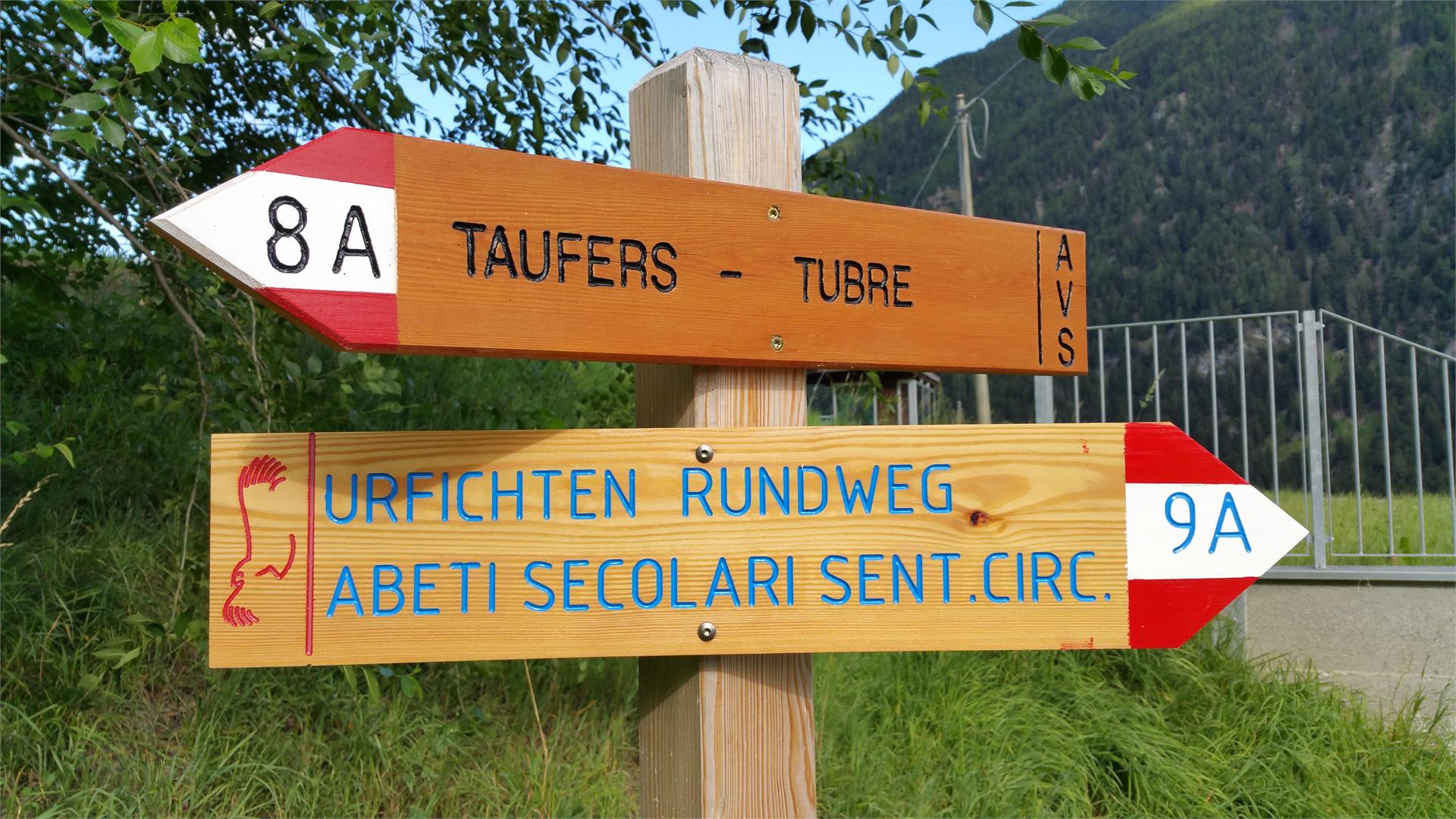 Urfichten circular hike Taufers im Münstertal/Tubre 1 suedtirol.info