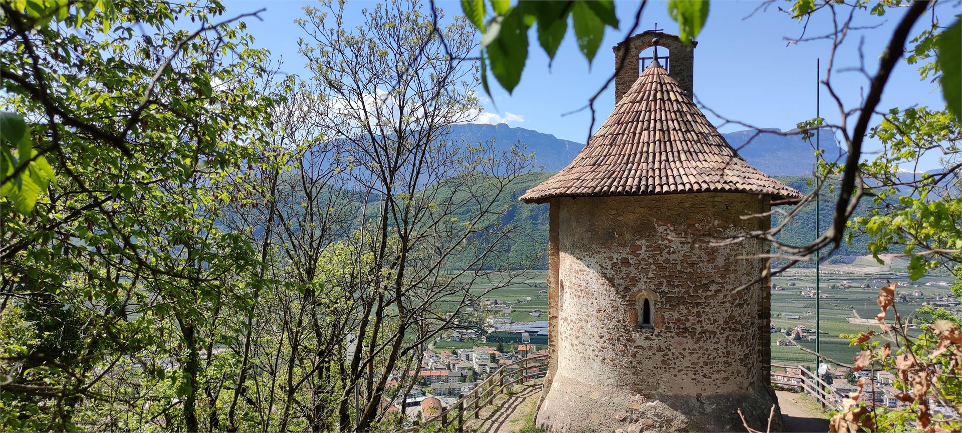 Attraverso Franzenberg e Montelargo Laives 1 suedtirol.info