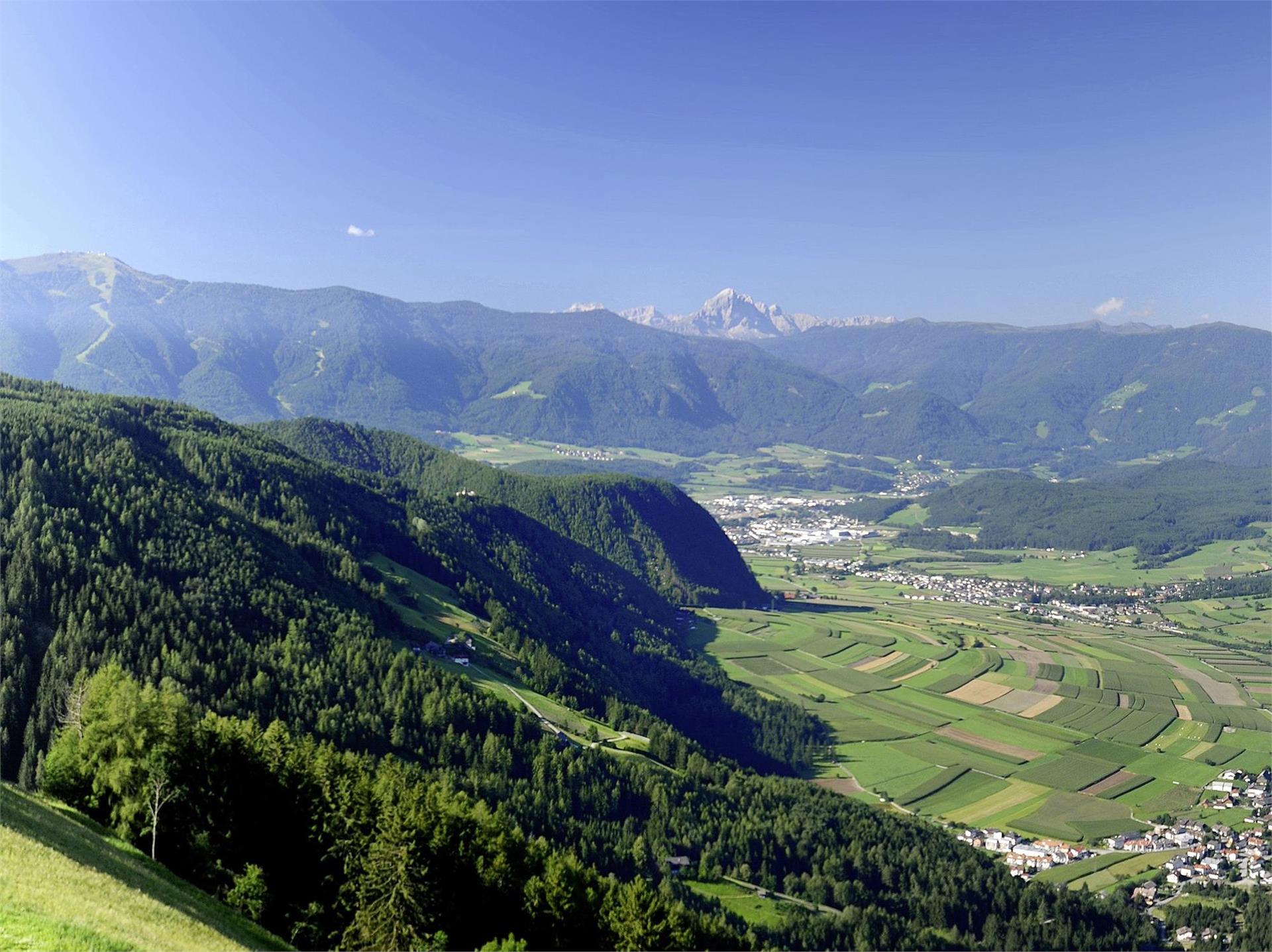 Via "Mitterberg" to "Einsberg" (Element paths) Gais 1 suedtirol.info