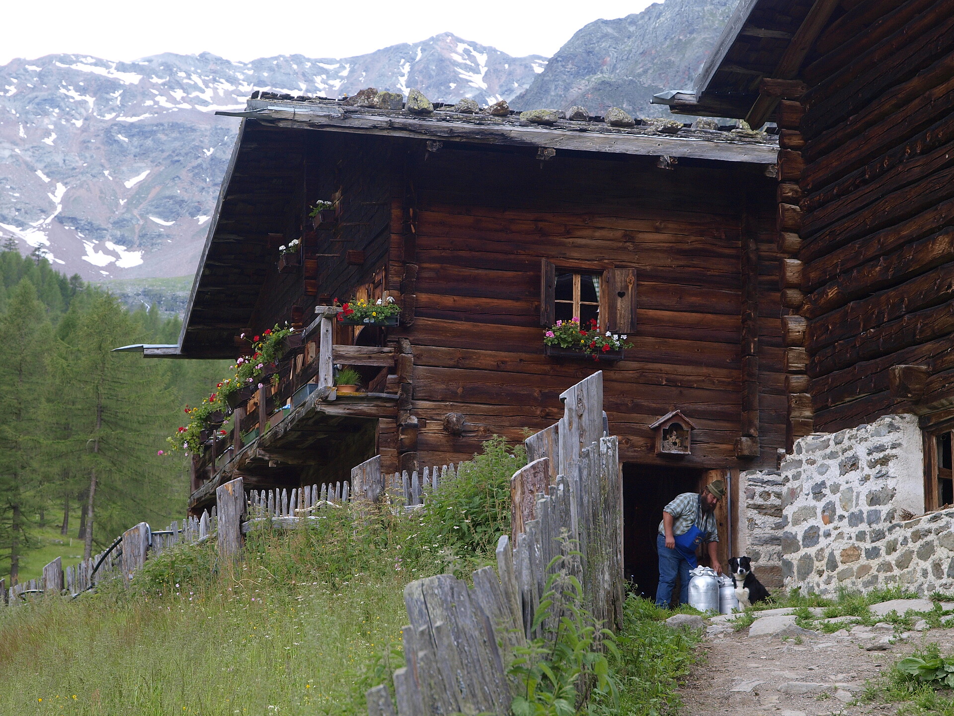 Malga Mastaun