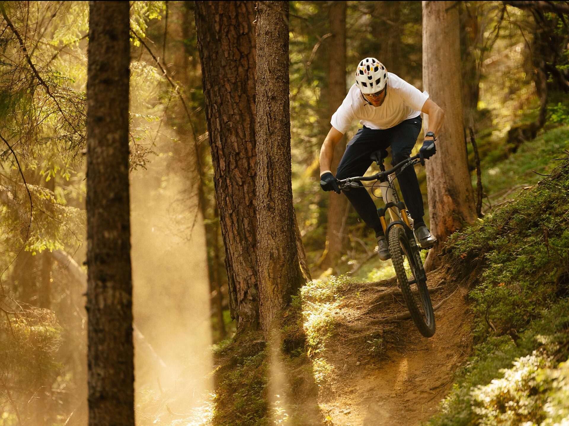 Uschi Trail - Dolomitenregion Kronplatz - #1 - suedtirol.info