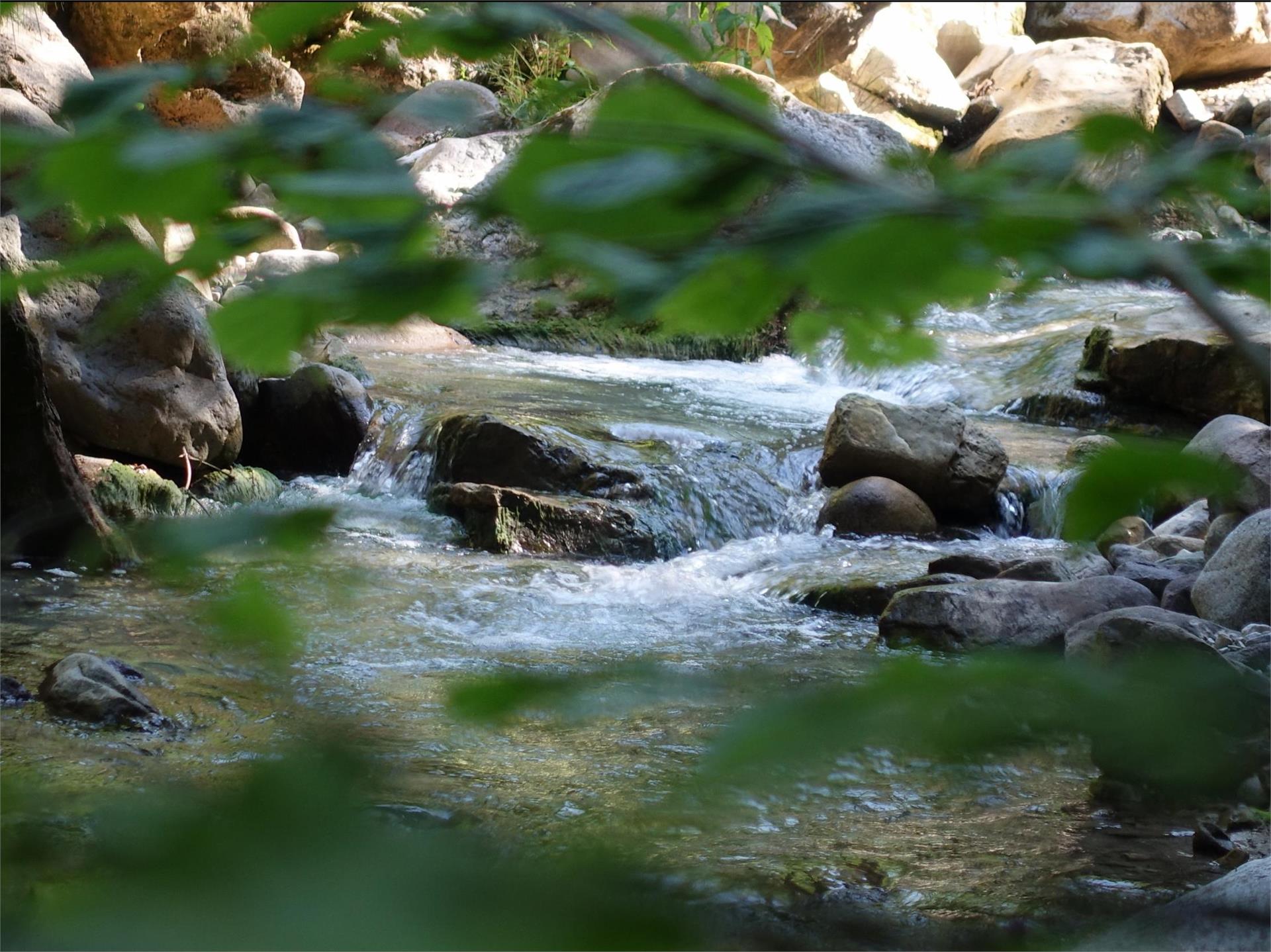 Sul sentiero del torrente fino al Castello Wehrburg a Prissiano Tesimo 1 suedtirol.info