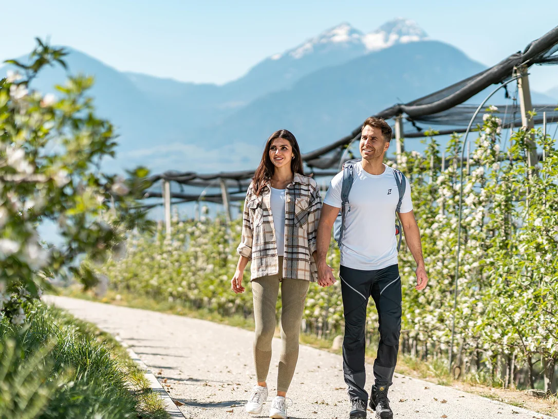 Über den Mitterplattweg nach Meran