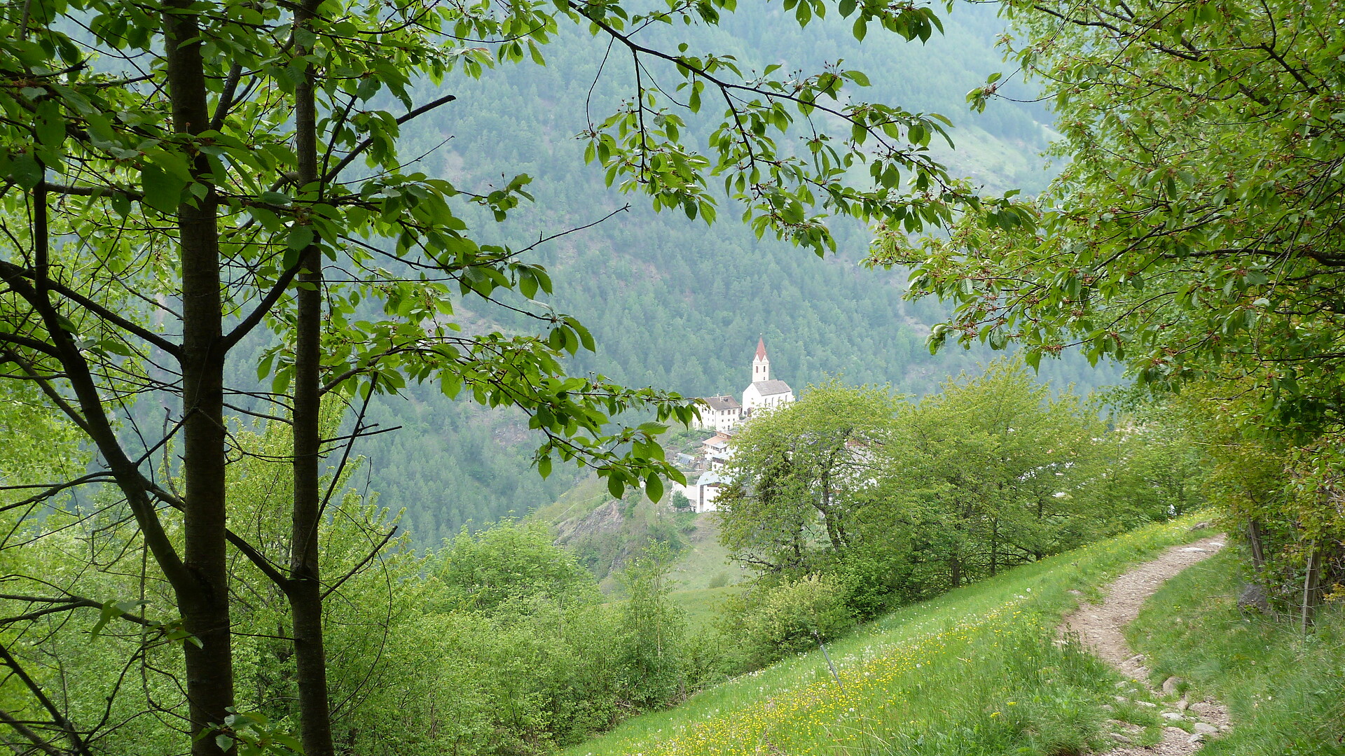 Monte S. Caterina