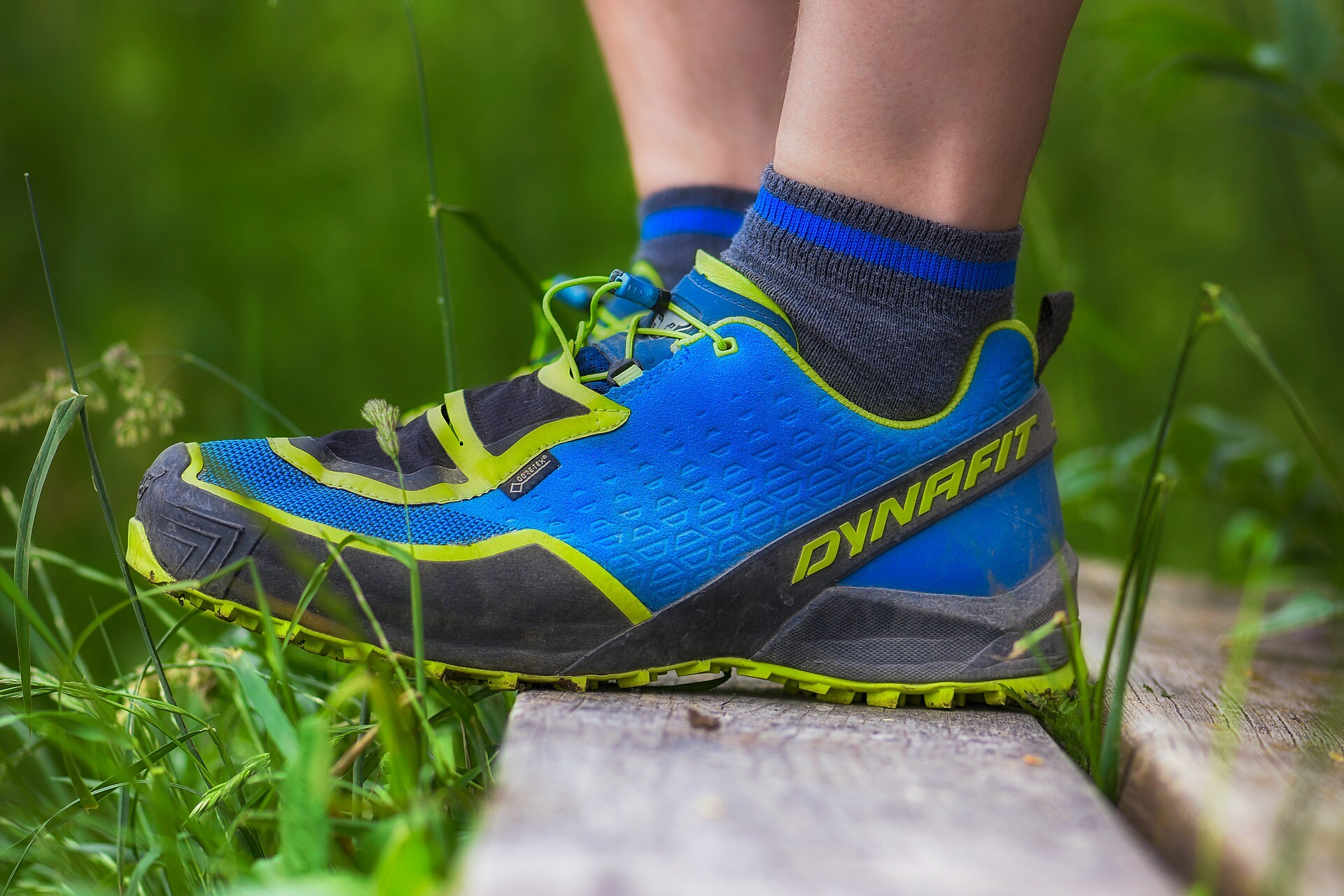 Ultental Valley farm run