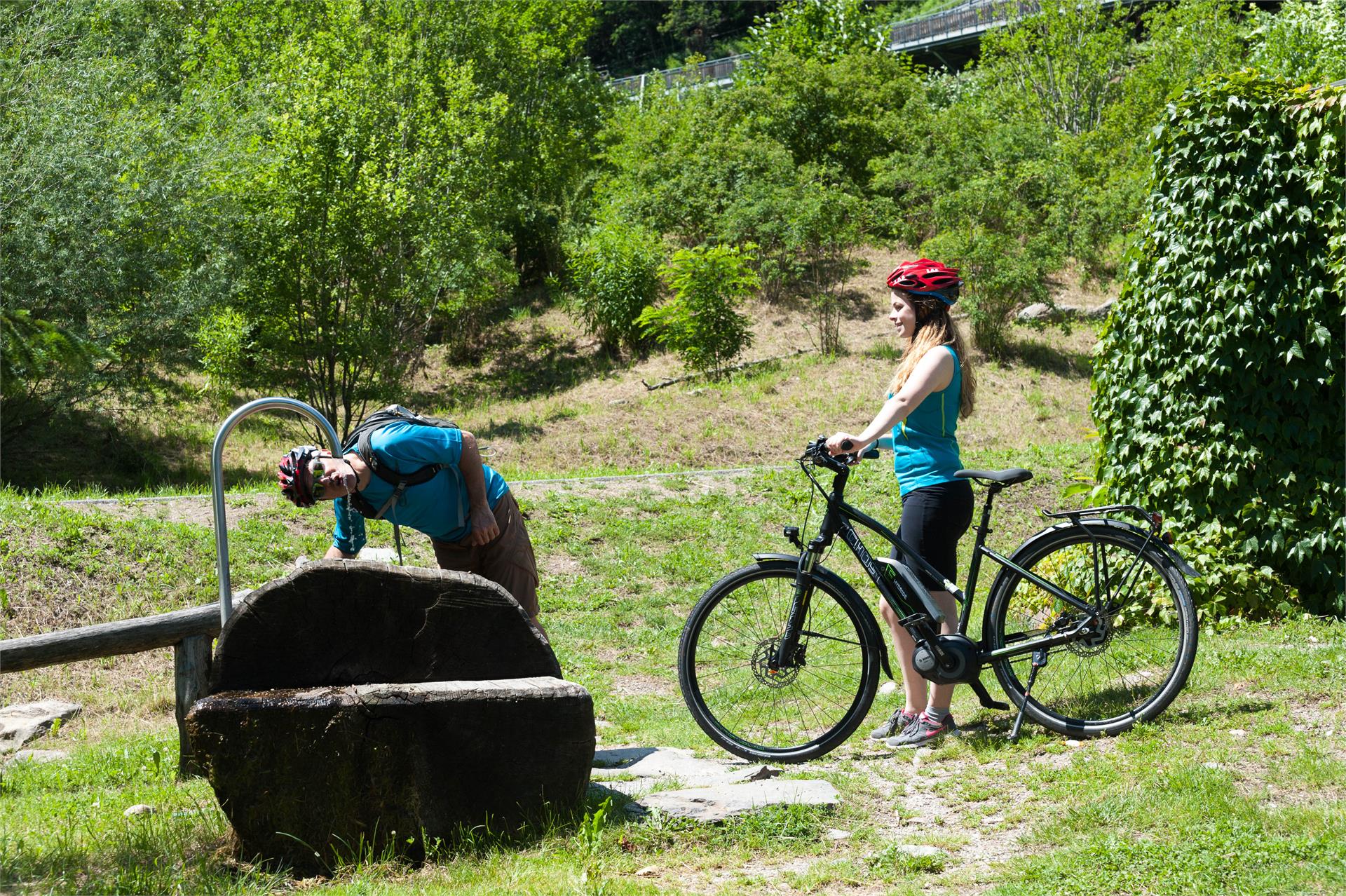 Uphill Gsteier Algund/Lagundo 2 suedtirol.info