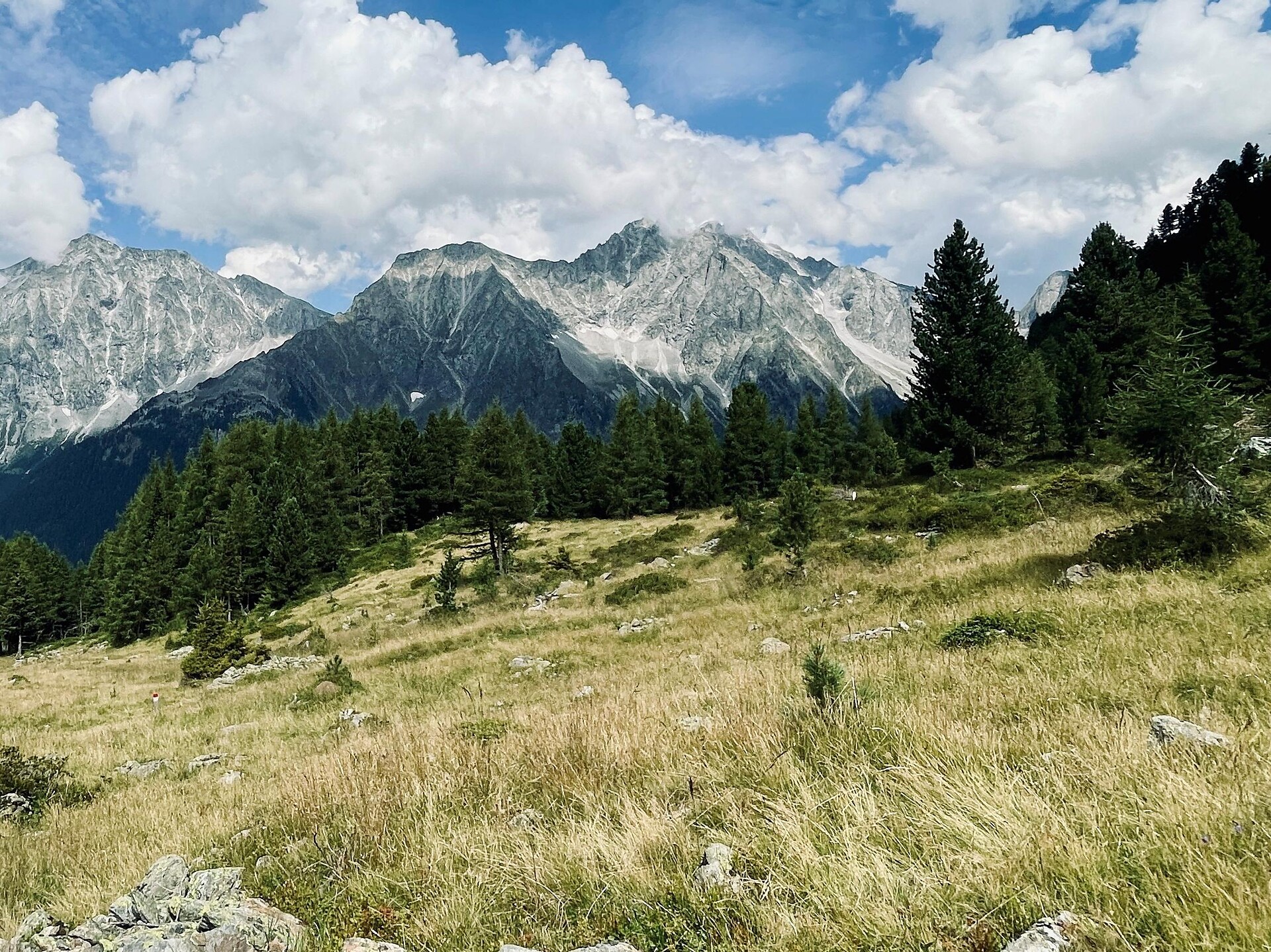 Rundwanderung über den Urigsteig zur Grüblalm - Dolomitenregion Kronplatz - #4 - suedtirol.info