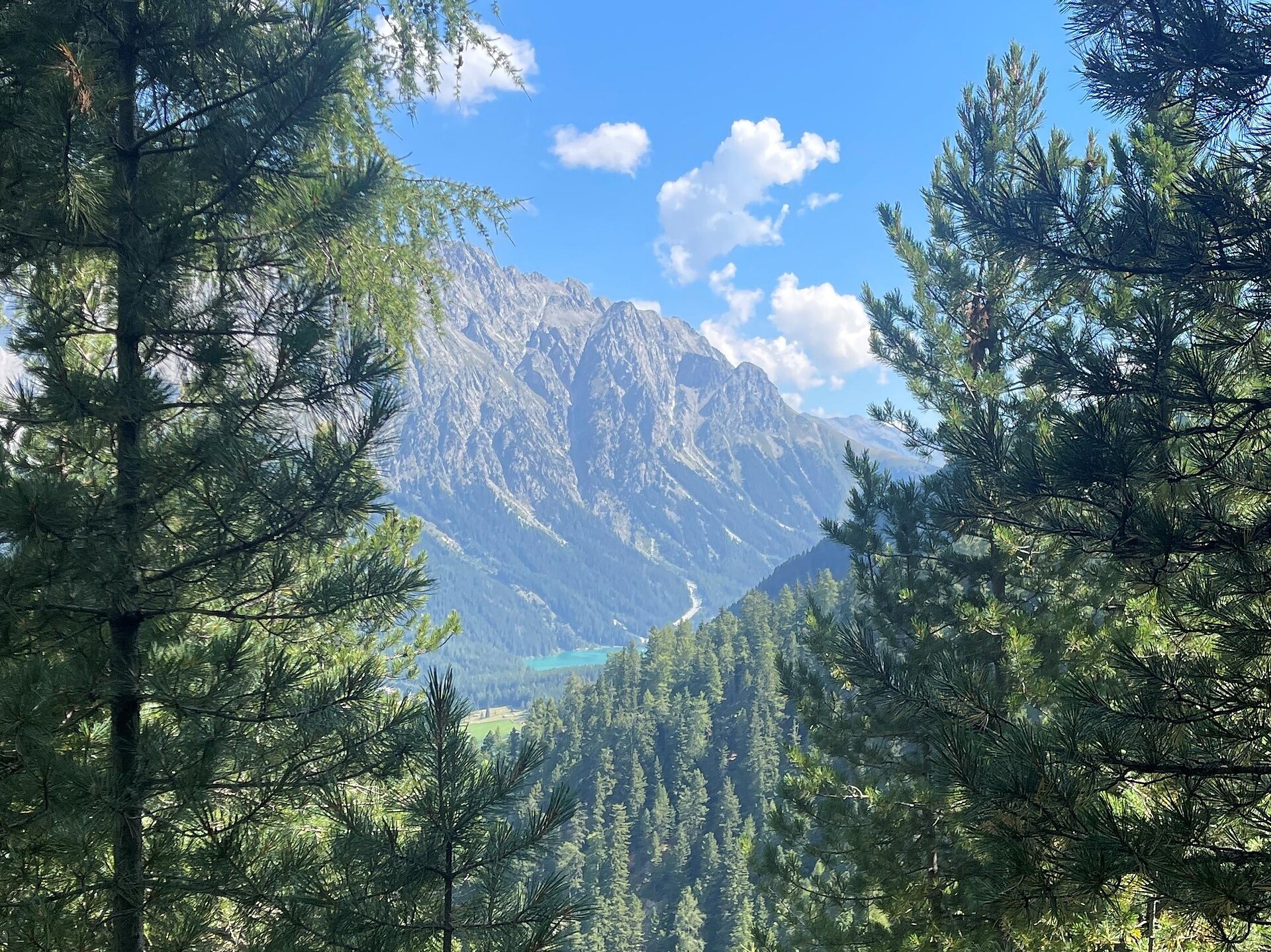 Rundwanderung über den Urigsteig zur Grüblalm - Dolomitenregion Kronplatz - #2 - suedtirol.info