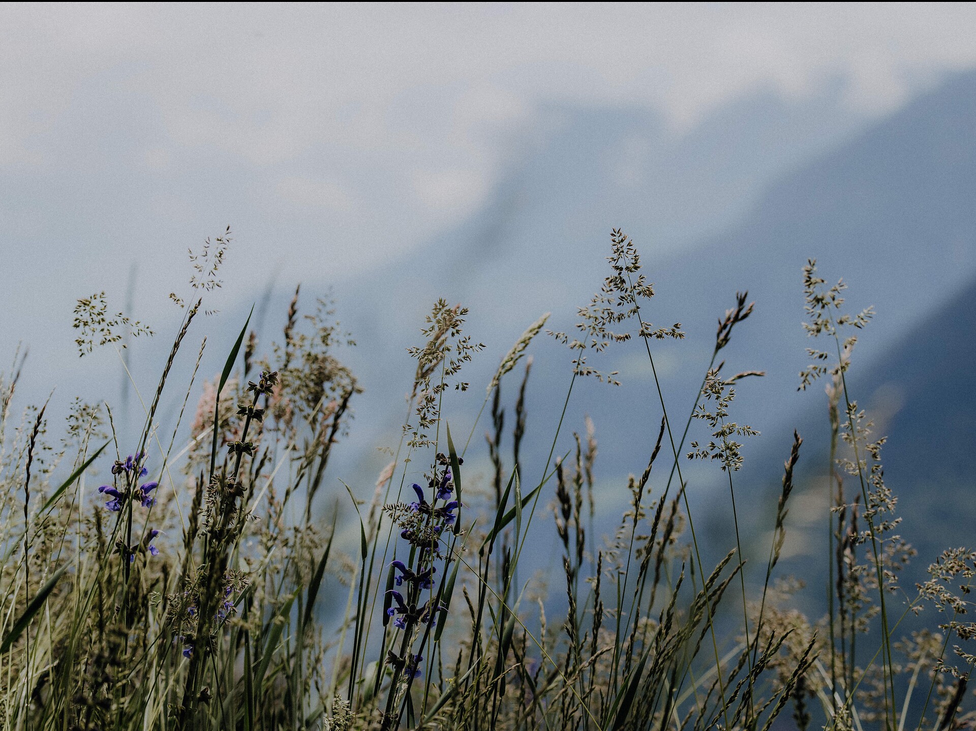 Wanderung Vigiljoch
