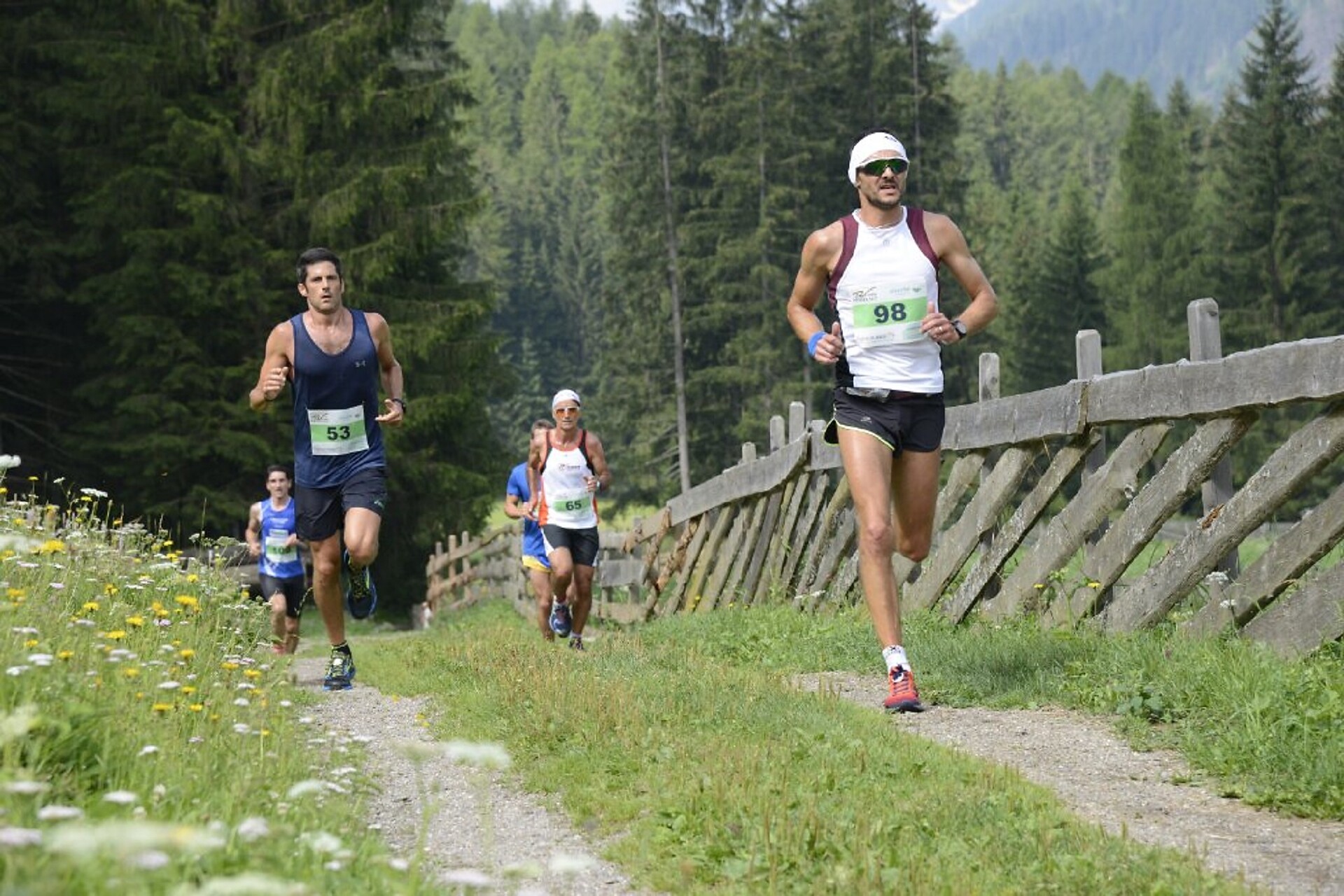 Ultental Valley farm run