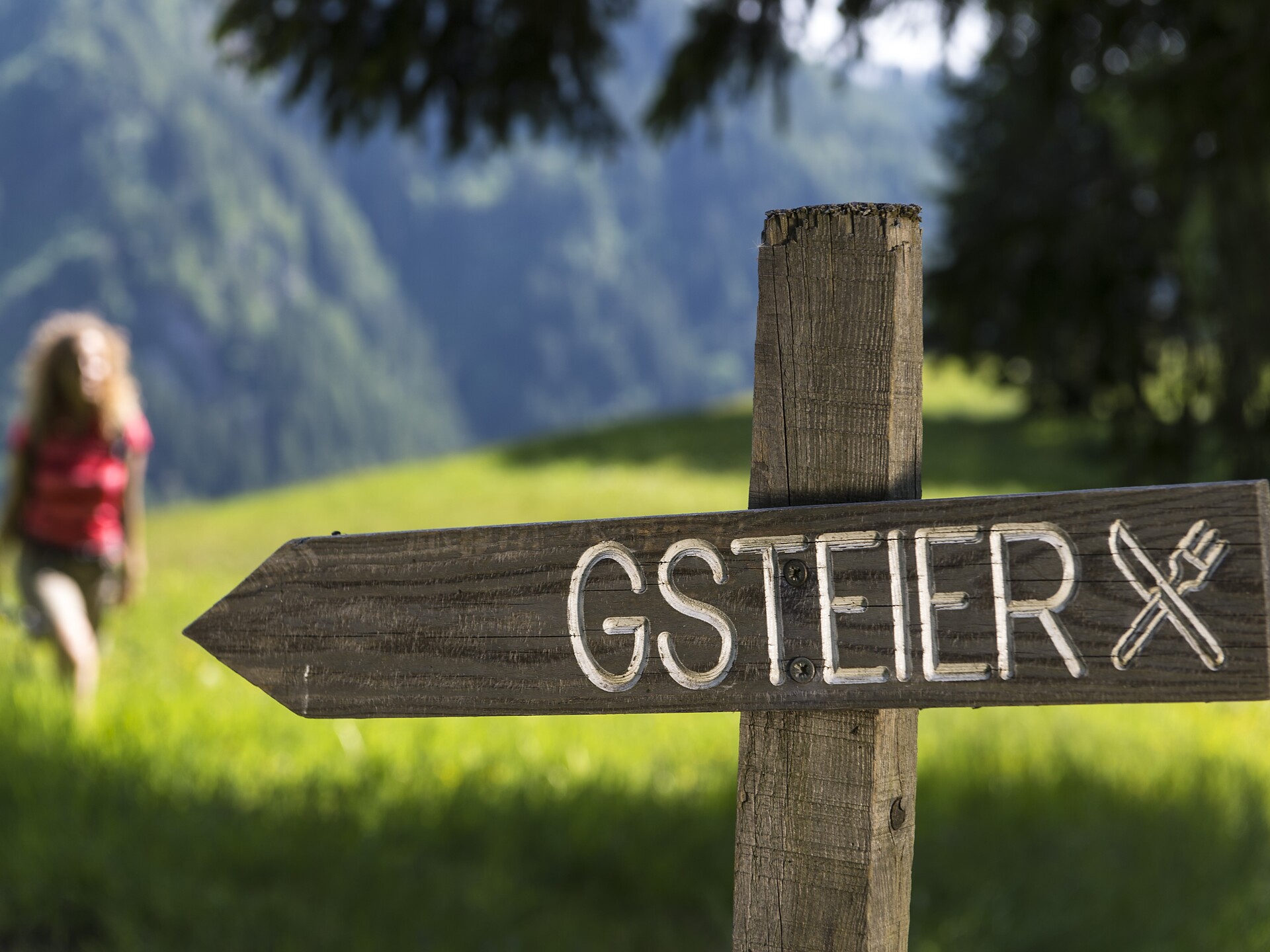 Gsteier
