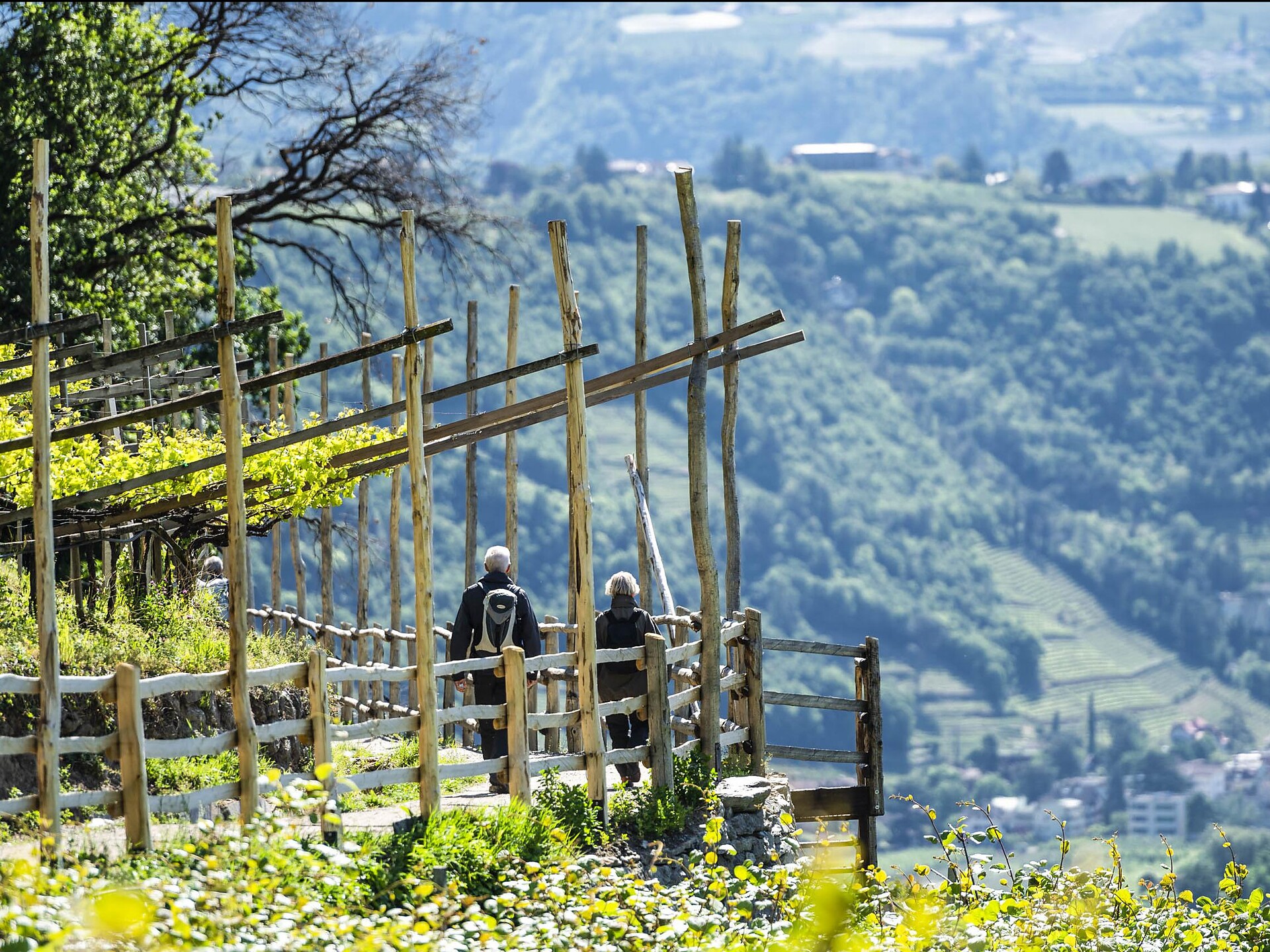 Von Partschins über den Algunder Waalweg zur Kurstadt Meran