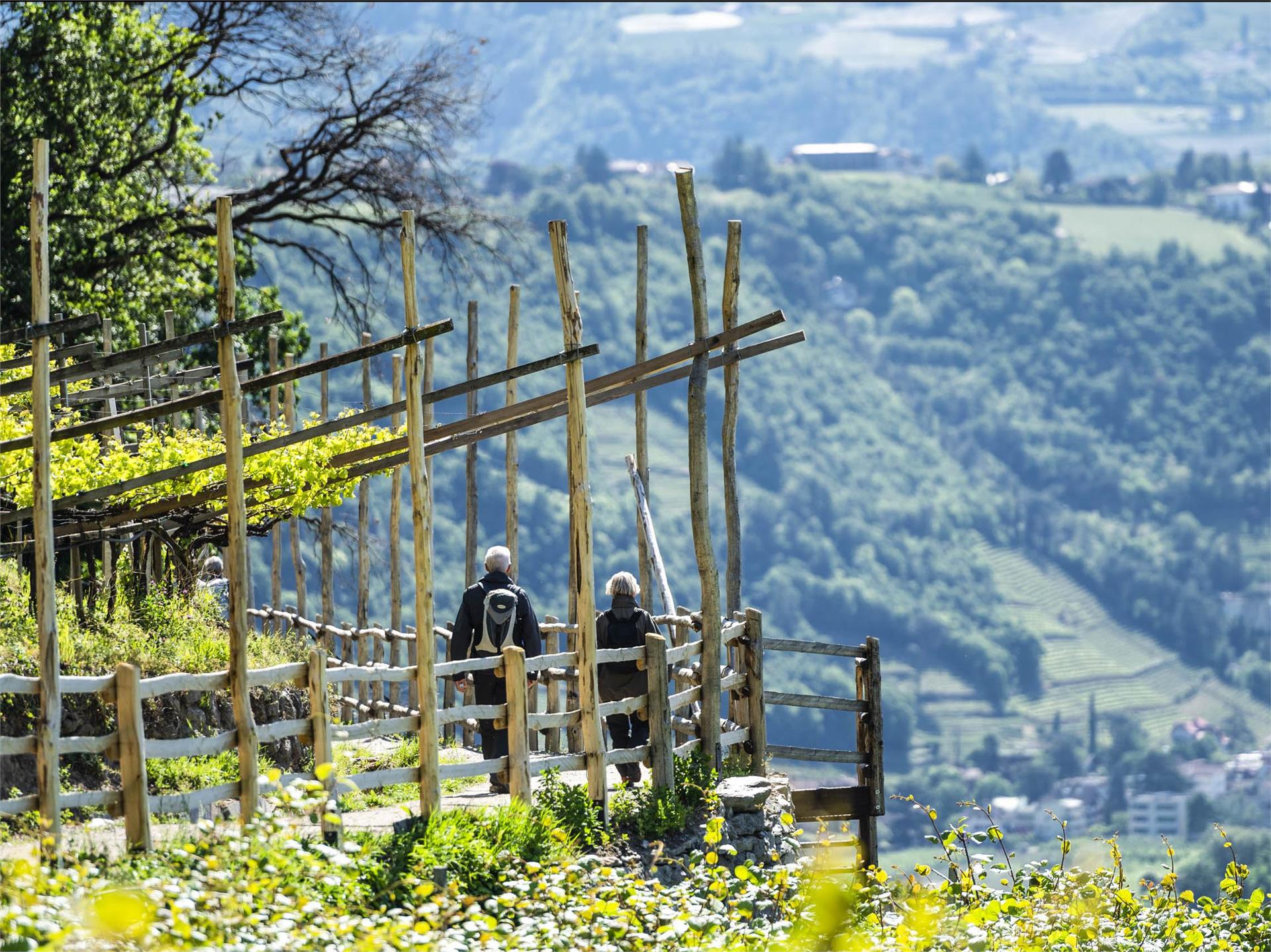 Da Parcines a Merano - sul sentiero della roggia di Lagundo Parcines 4 suedtirol.info