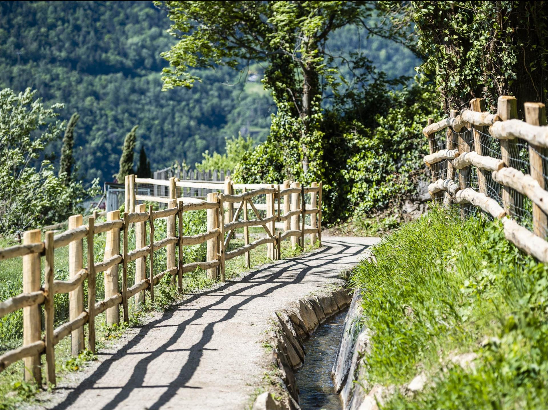 Da Parcines a Merano - sul sentiero della roggia di Lagundo Parcines 3 suedtirol.info