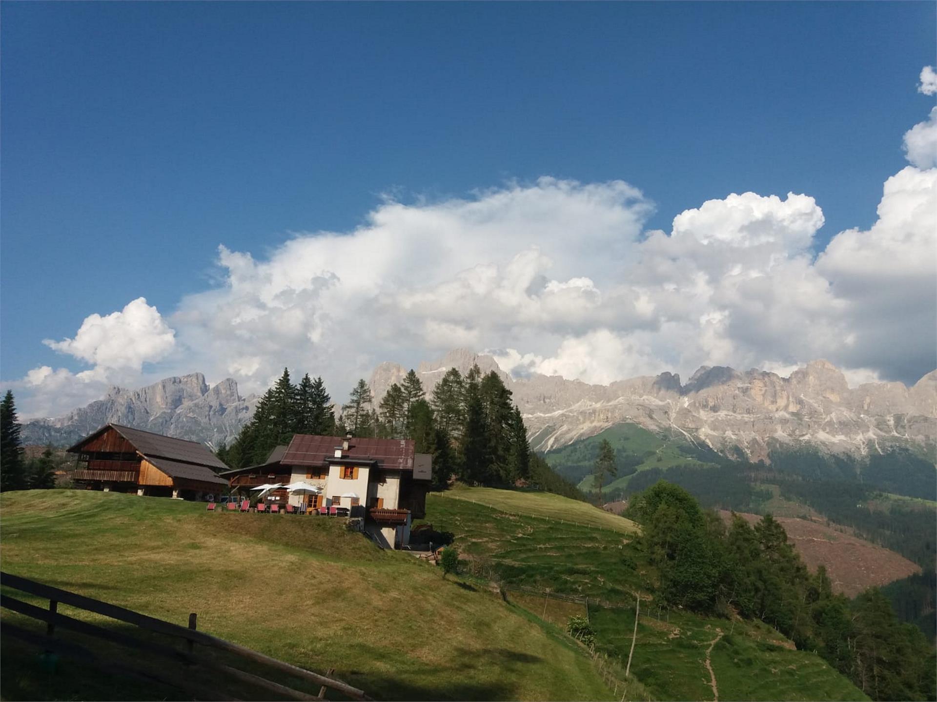 Vom Nigerpass zum Jocher und über die Wolfsgrube nach Tiers Tiers am Rosengarten 3 suedtirol.info