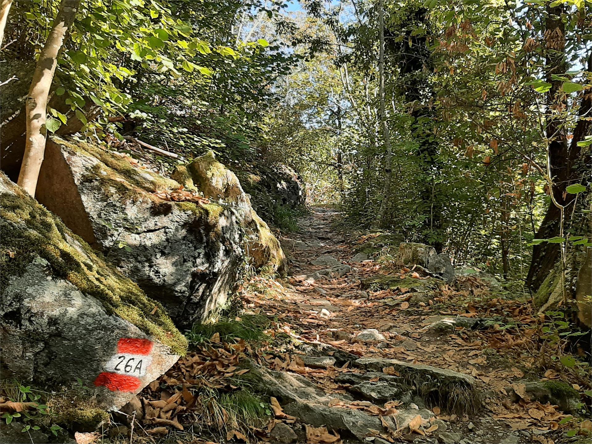 Partschins/Parcines -  Saxnerweg Trail – Vellau/Velloi Partschins/Parcines 1 suedtirol.info