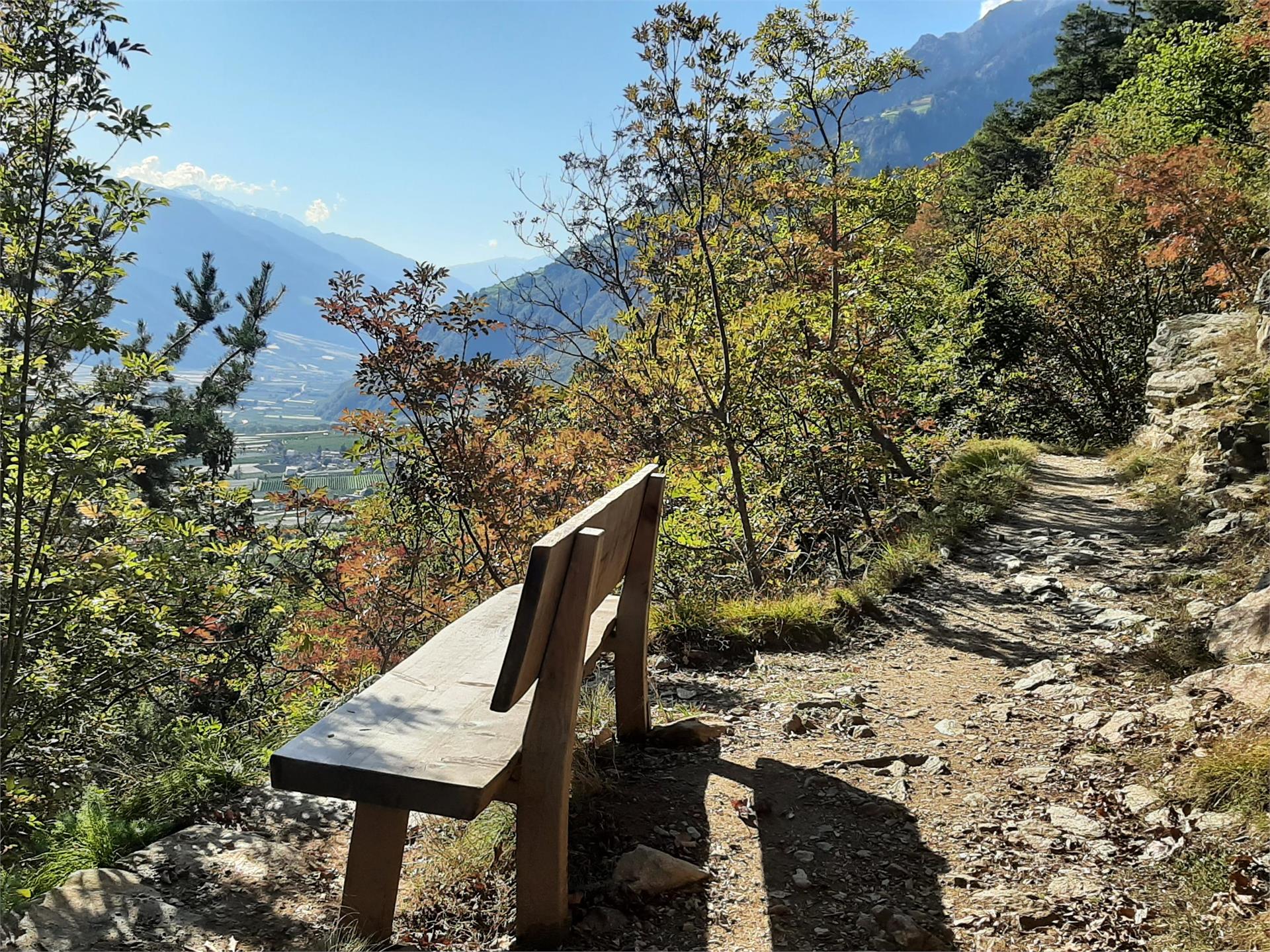 Partschins/Parcines -  Saxnerweg Trail – Vellau/Velloi Partschins/Parcines 6 suedtirol.info