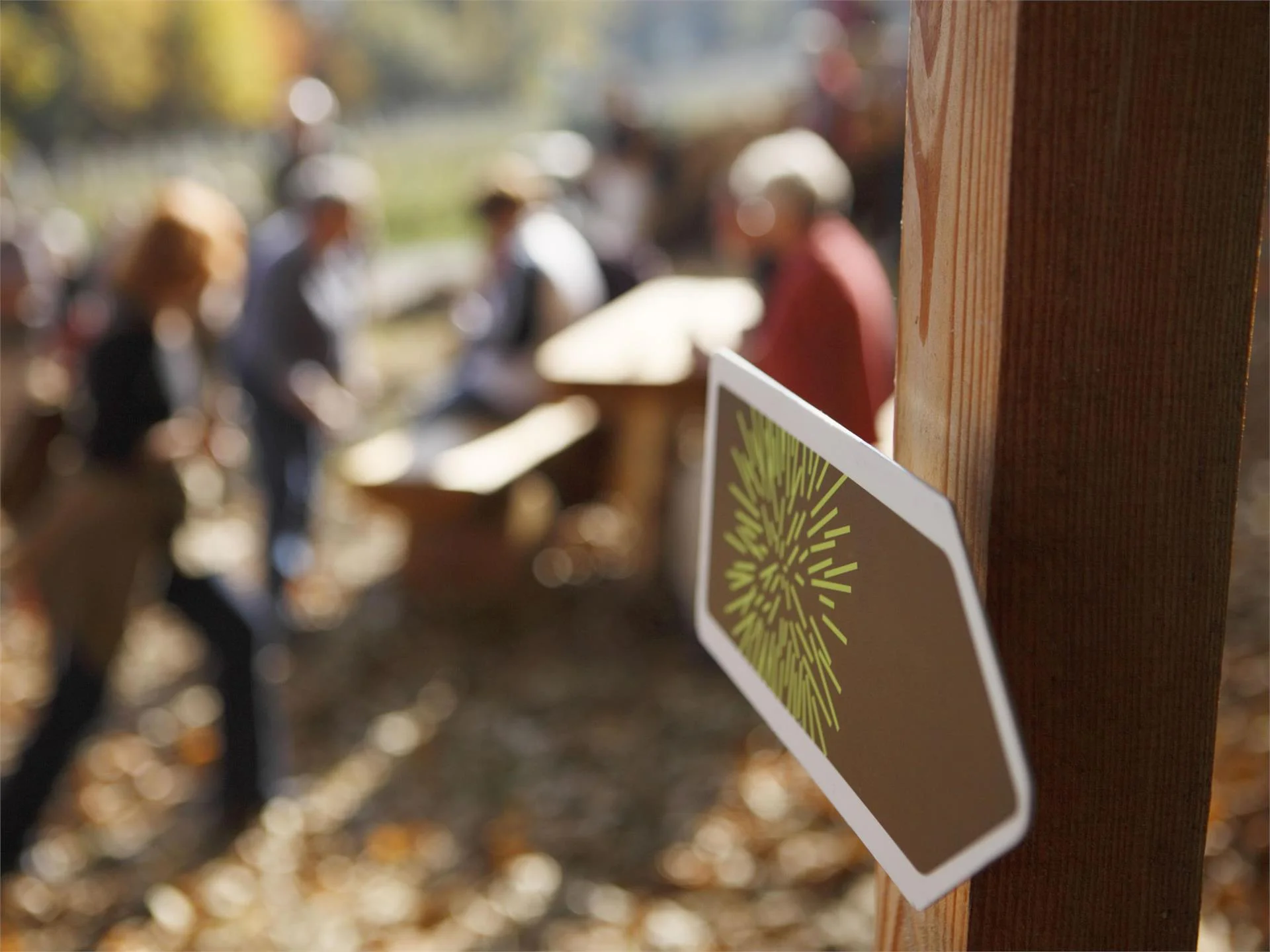 Chestnut Experience Trail Lana 3 suedtirol.info