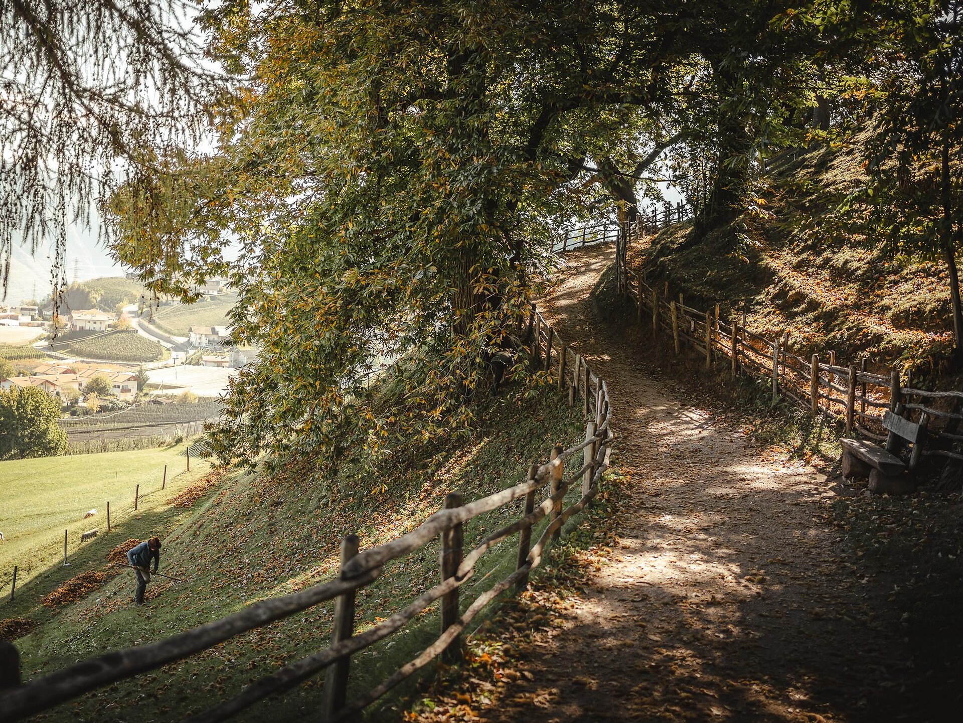 Völlan Südtiroler Kastanienerlebnisweg - Meran und Umgebung - #1 - suedtirol.info