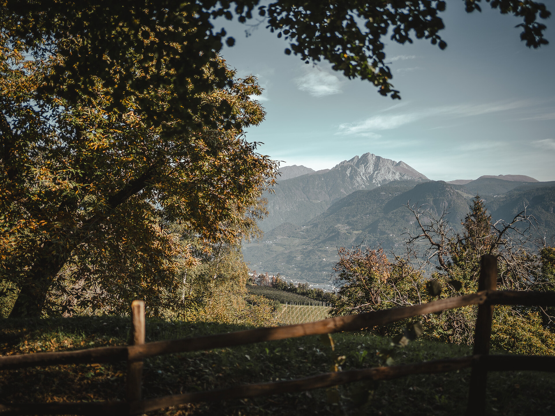 Völlan Südtiroler Kastanienerlebnisweg - Meran und Umgebung - #2 - suedtirol.info