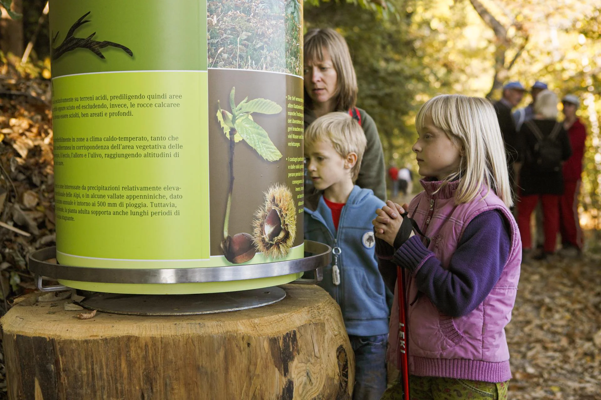 Chestnut Experience Trail Lana 1 suedtirol.info