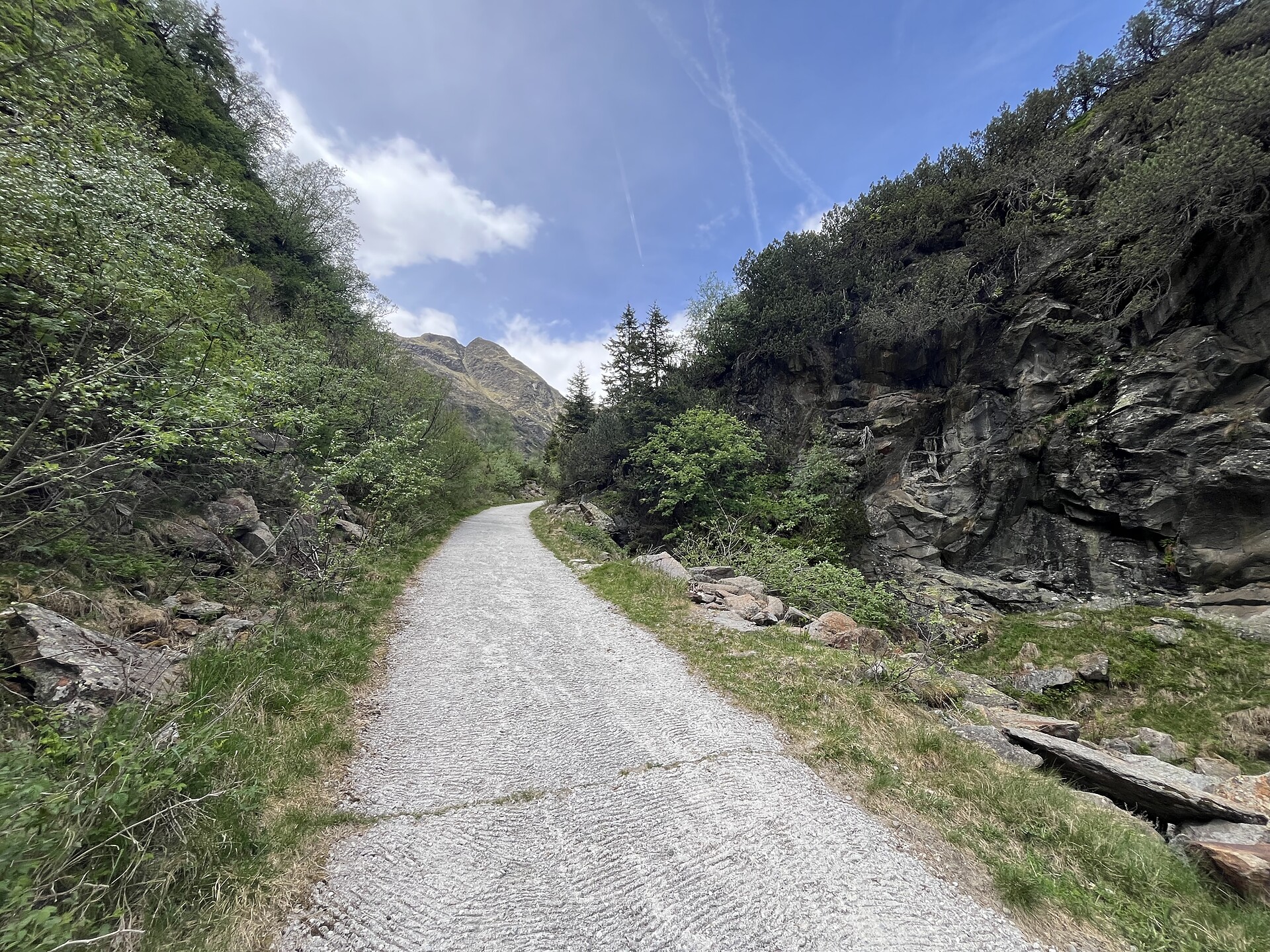 From Maiern to the Aglsbodenalm mountain hut on gravel tracks - Sterzing/Vipiteno and environs - #3 - suedtirol.info
