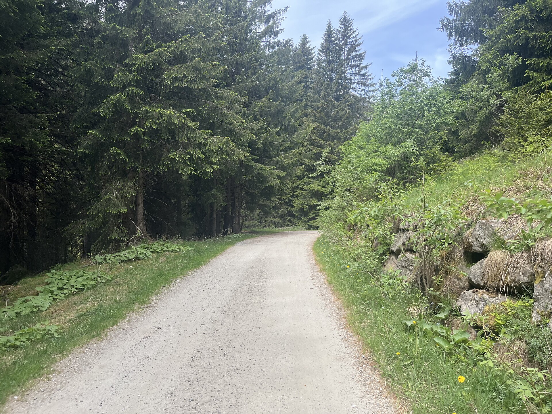 From Maiern to the Aglsbodenalm mountain hut on gravel tracks - Sterzing/Vipiteno and environs - #2 - suedtirol.info