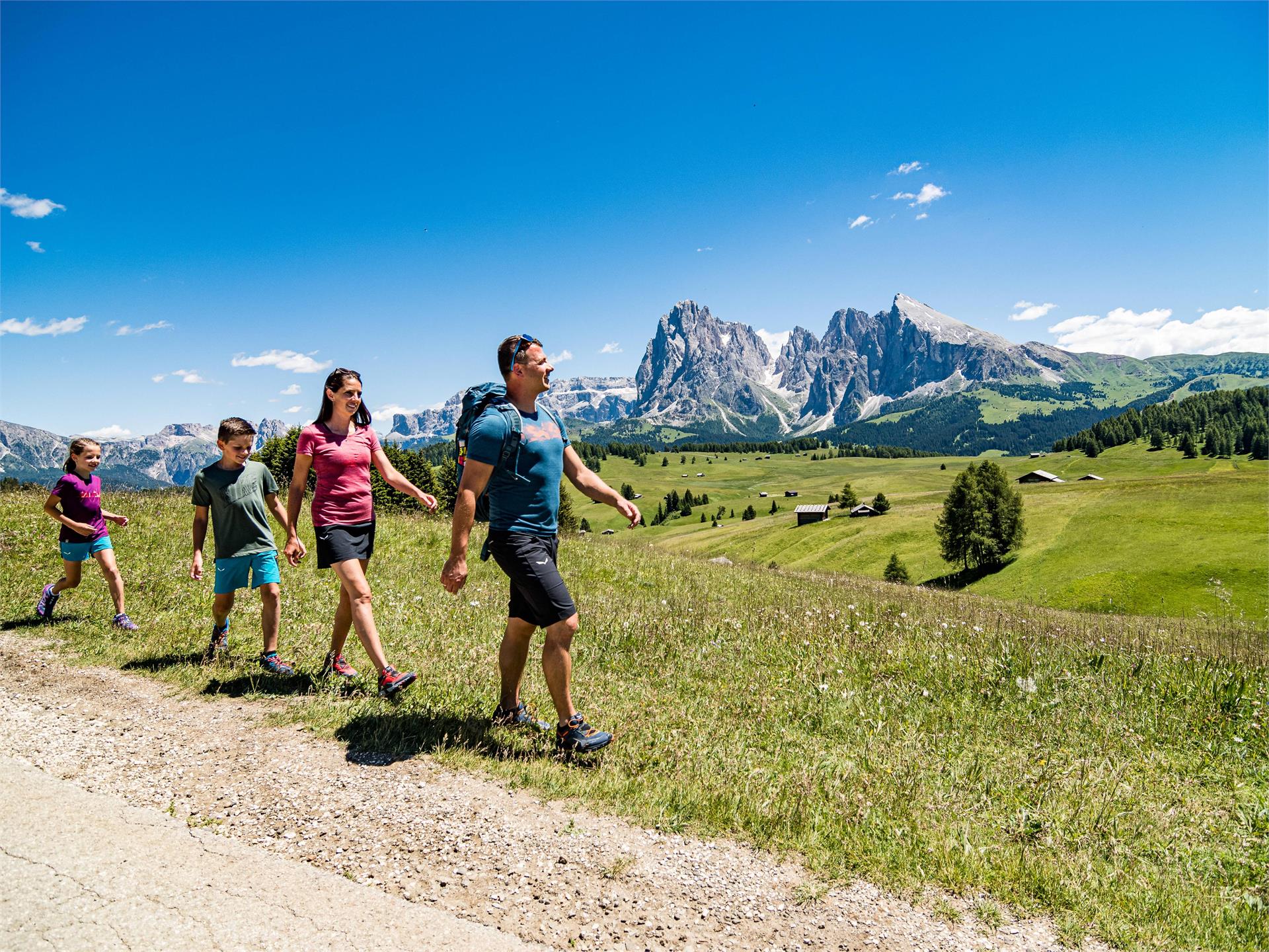 Von Compatsch nach Piz und Saltria Kastelruth 4 suedtirol.info
