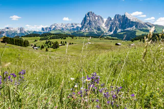Von Compatsch nach Piz und Saltria - Kastelruth - #3 - suedtirol.info