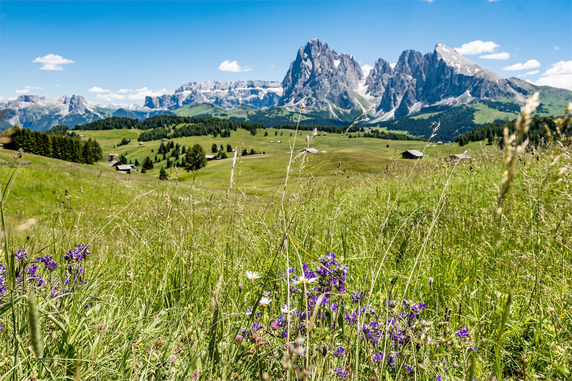 Von Compatsch nach Piz und Saltria Kastelruth 2 suedtirol.info
