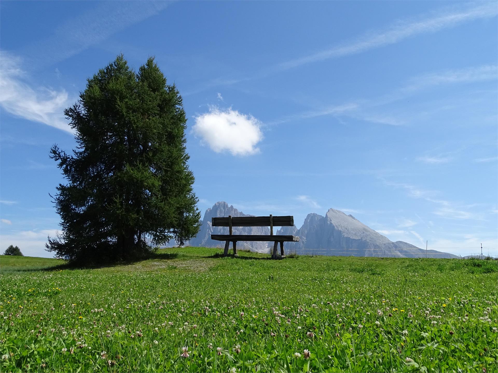 Von Compatsch nach Piz und Saltria Kastelruth 3 suedtirol.info