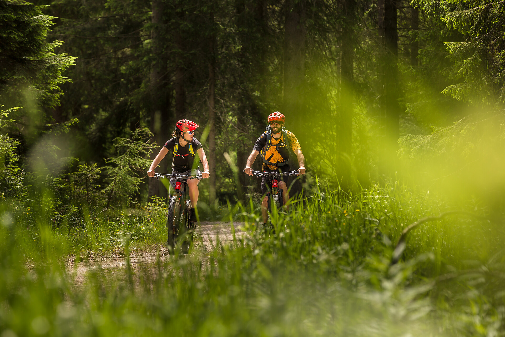 MTB Tour