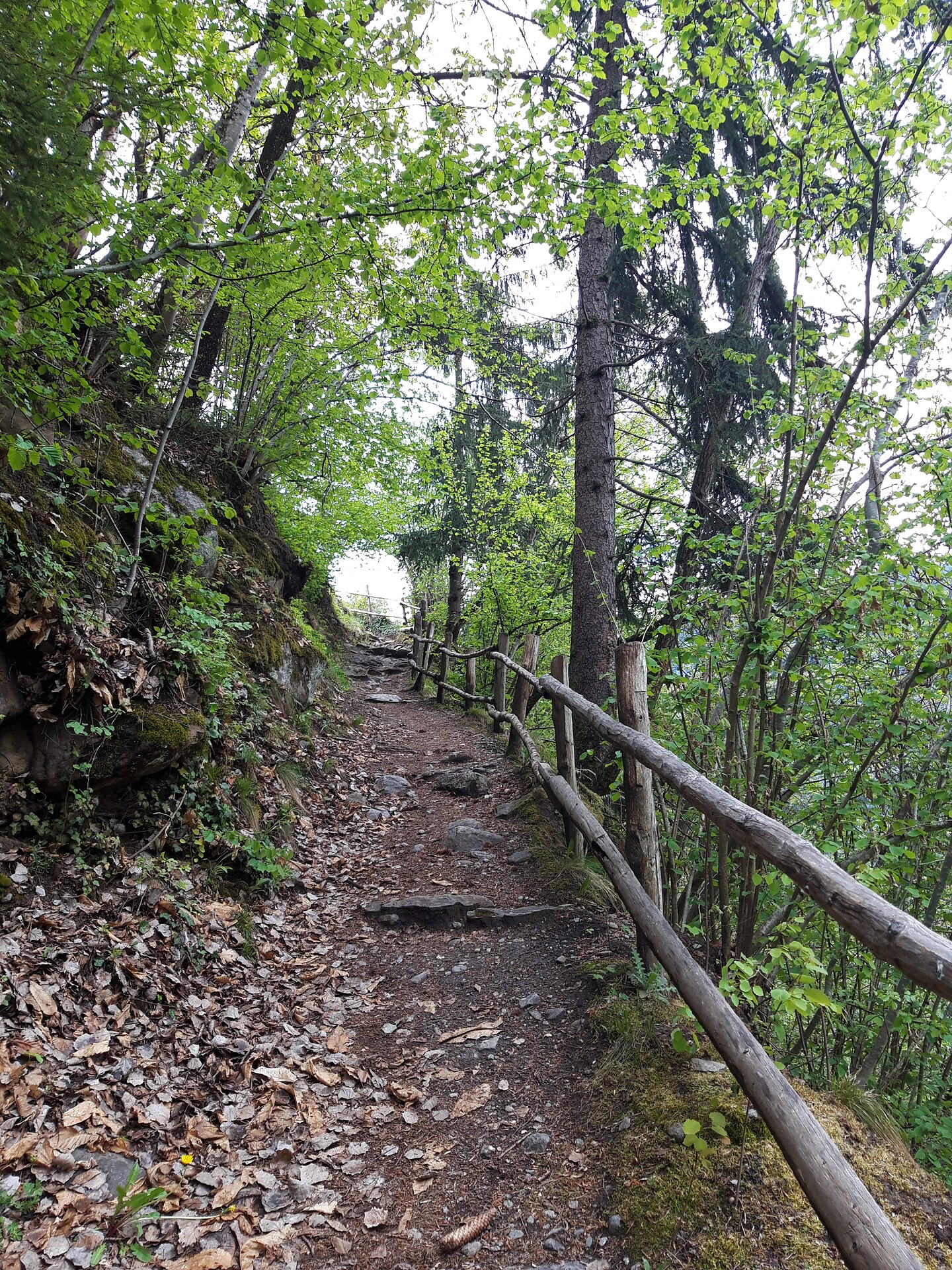 Von Partschins zum Schloss Tirol