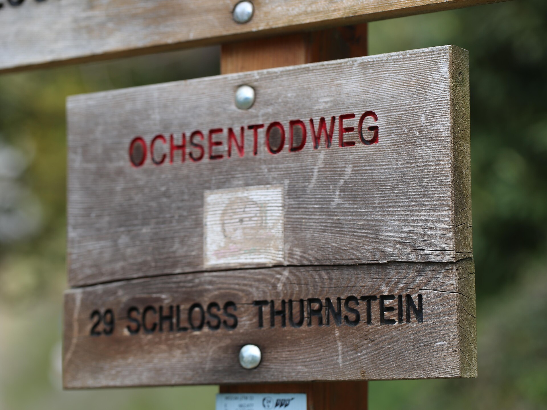 Von Partschins zum Schloss Tirol