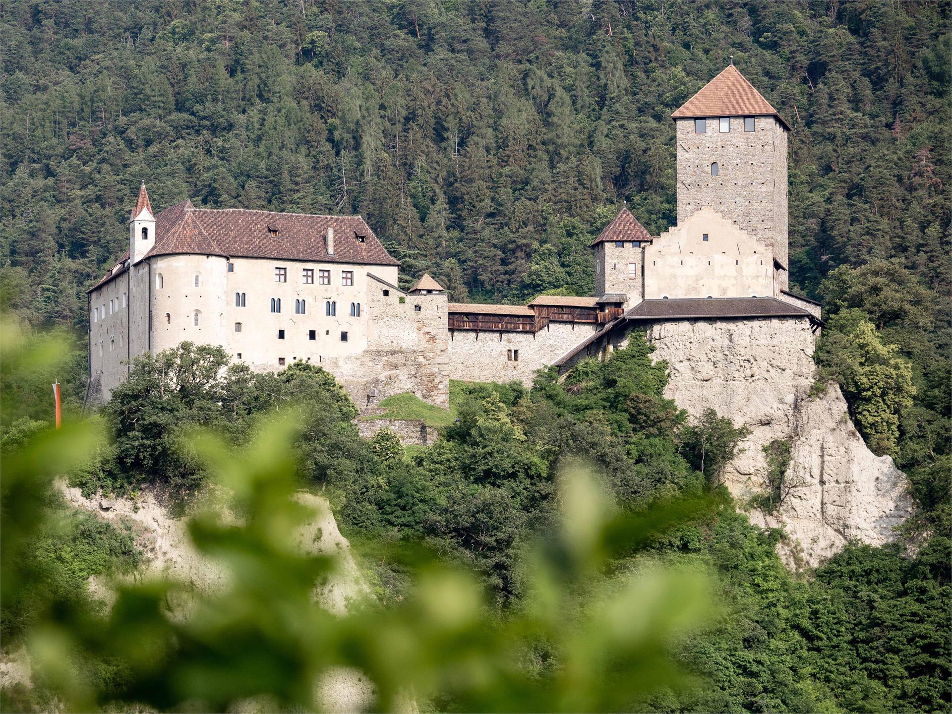 Da Parcines al Castel Tirolo - escursione primaverile Parcines 12 suedtirol.info