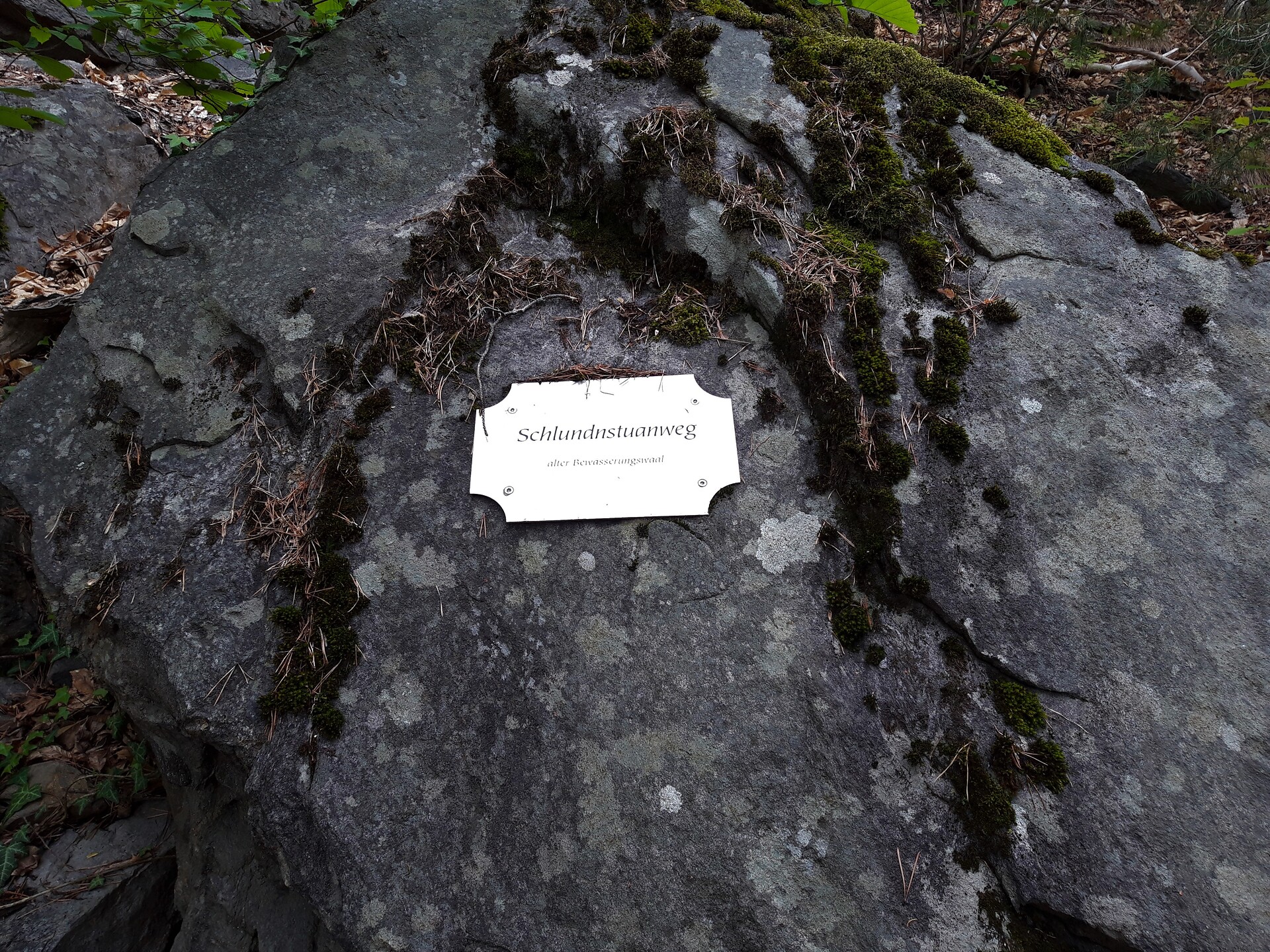 Von Partschins zum Schloss Tirol
