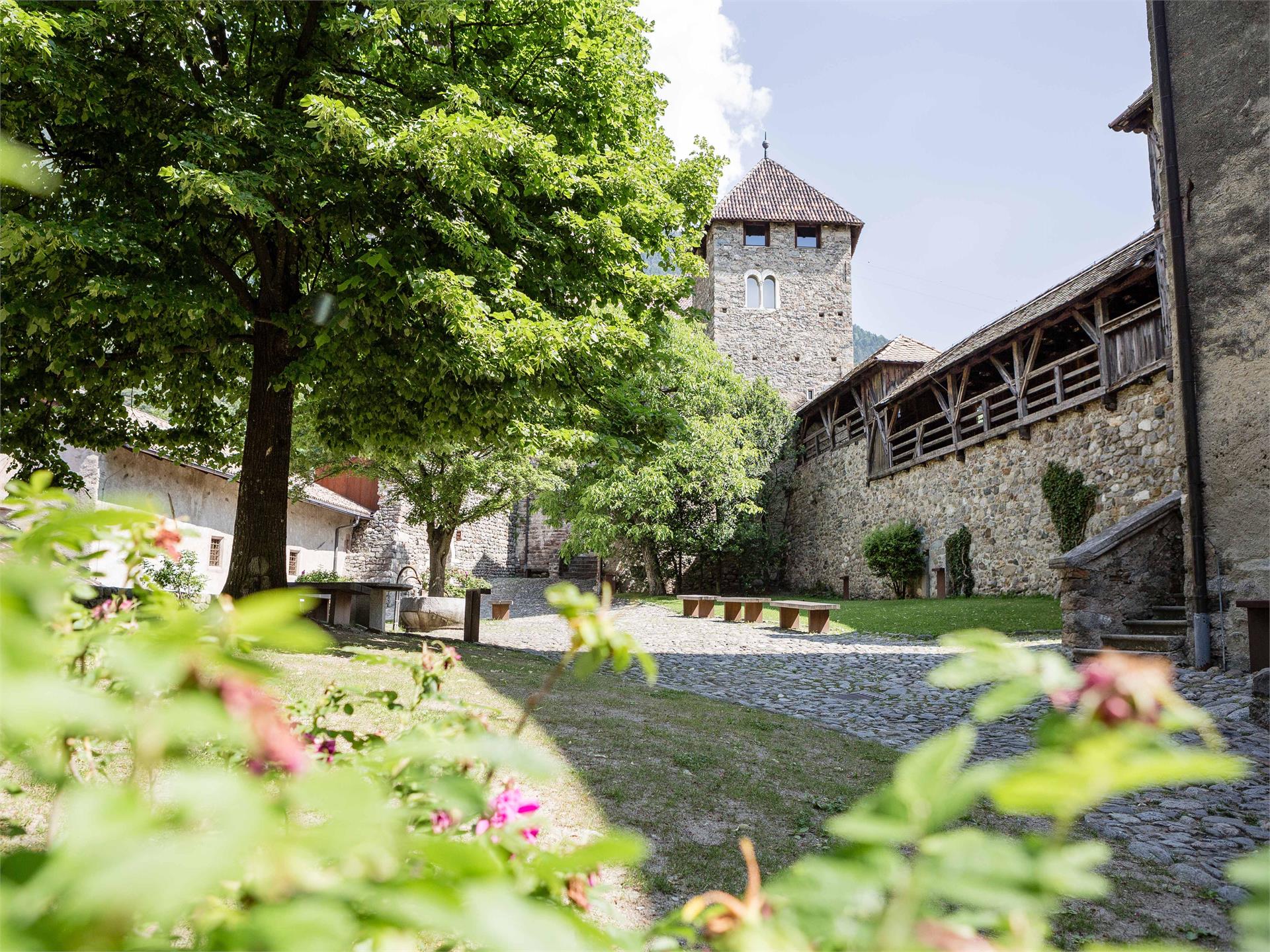 Da Parcines al Castel Tirolo - escursione primaverile Parcines 13 suedtirol.info