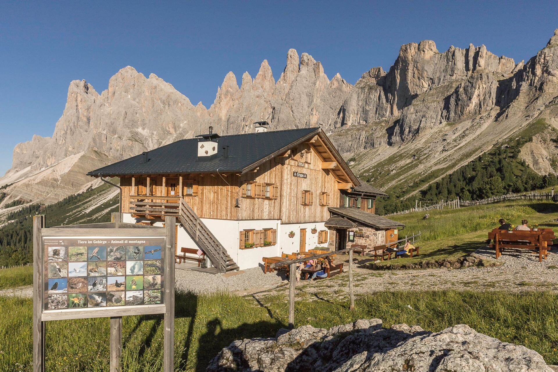 From Resciesa to Malga Zannes along the Adolf Munkel Trail - Dolomites Region Val Gardena - #4 - suedtirol.info