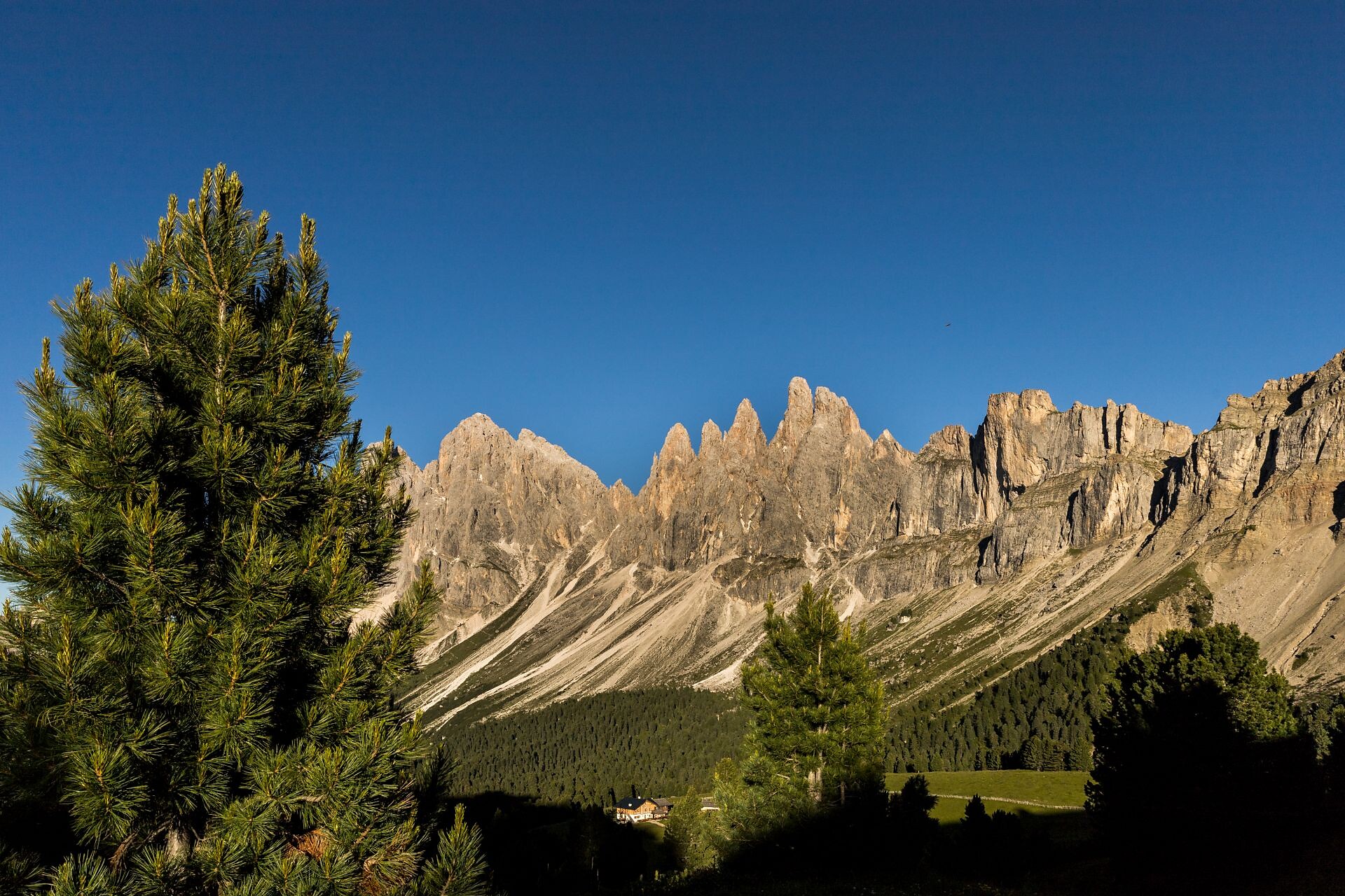 From Resciesa to Malga Zannes along the Adolf Munkel Trail - Dolomites Region Val Gardena - #5 - suedtirol.info