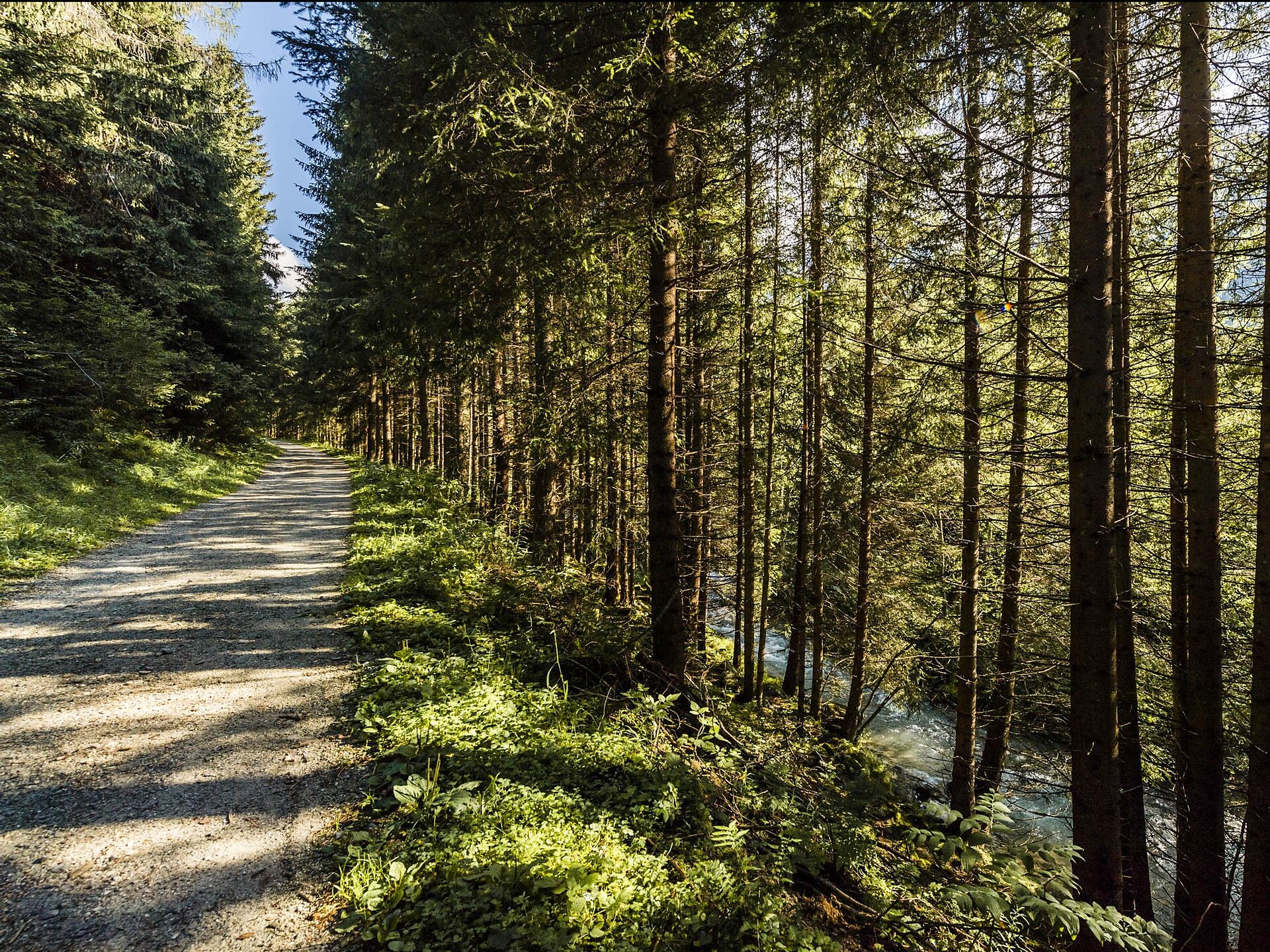 Loop Trail