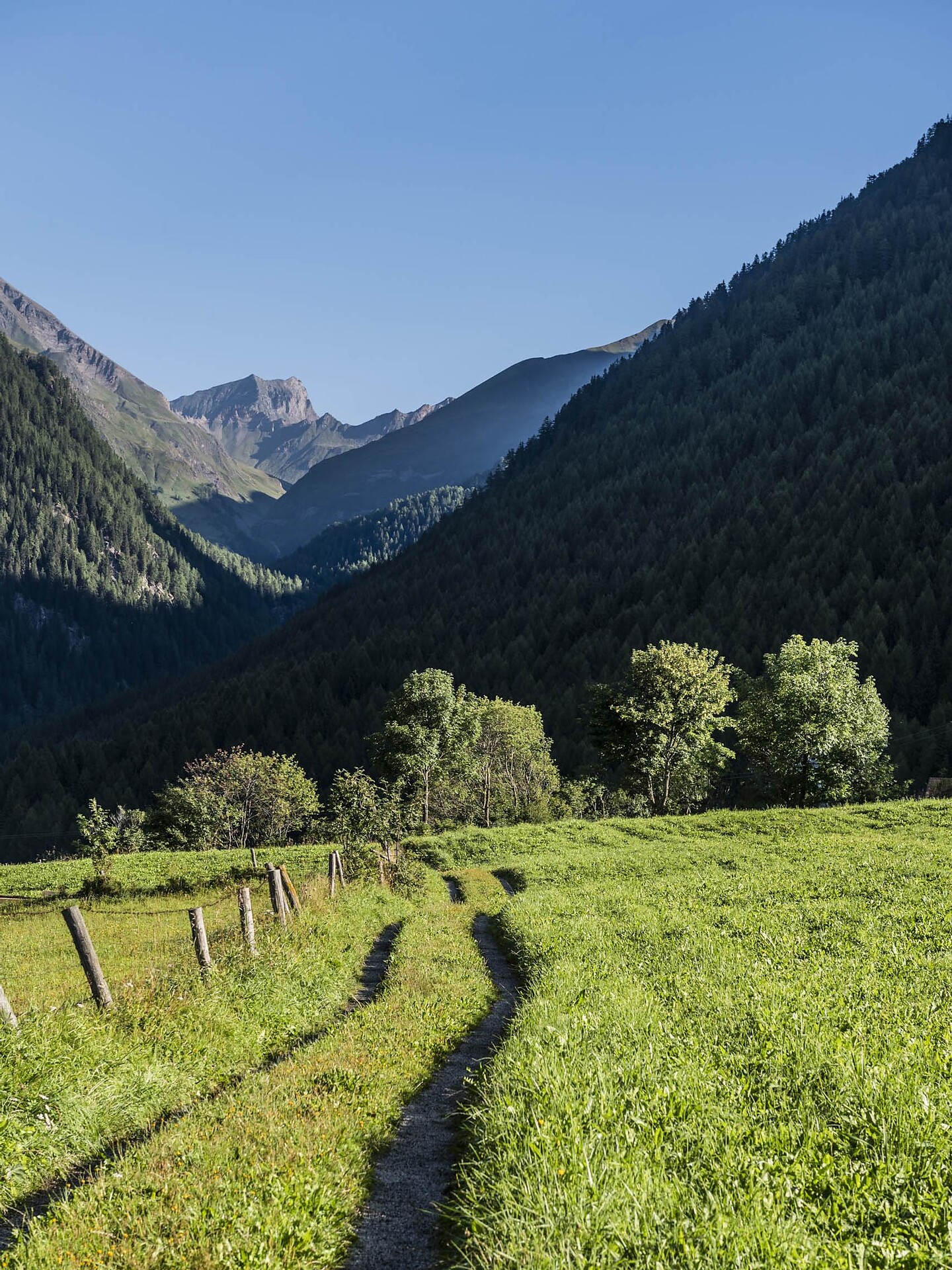 Loop Trail