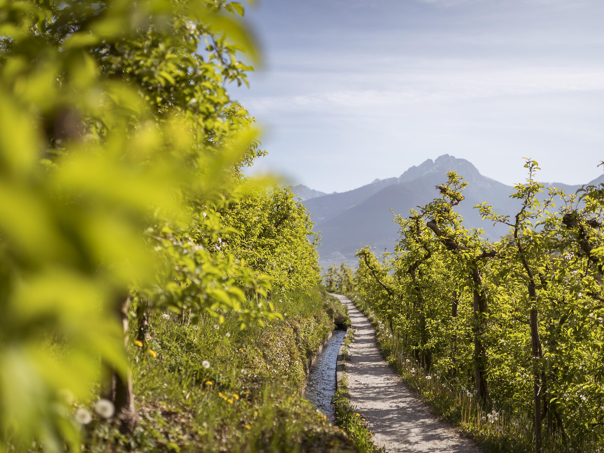 Waalweg path