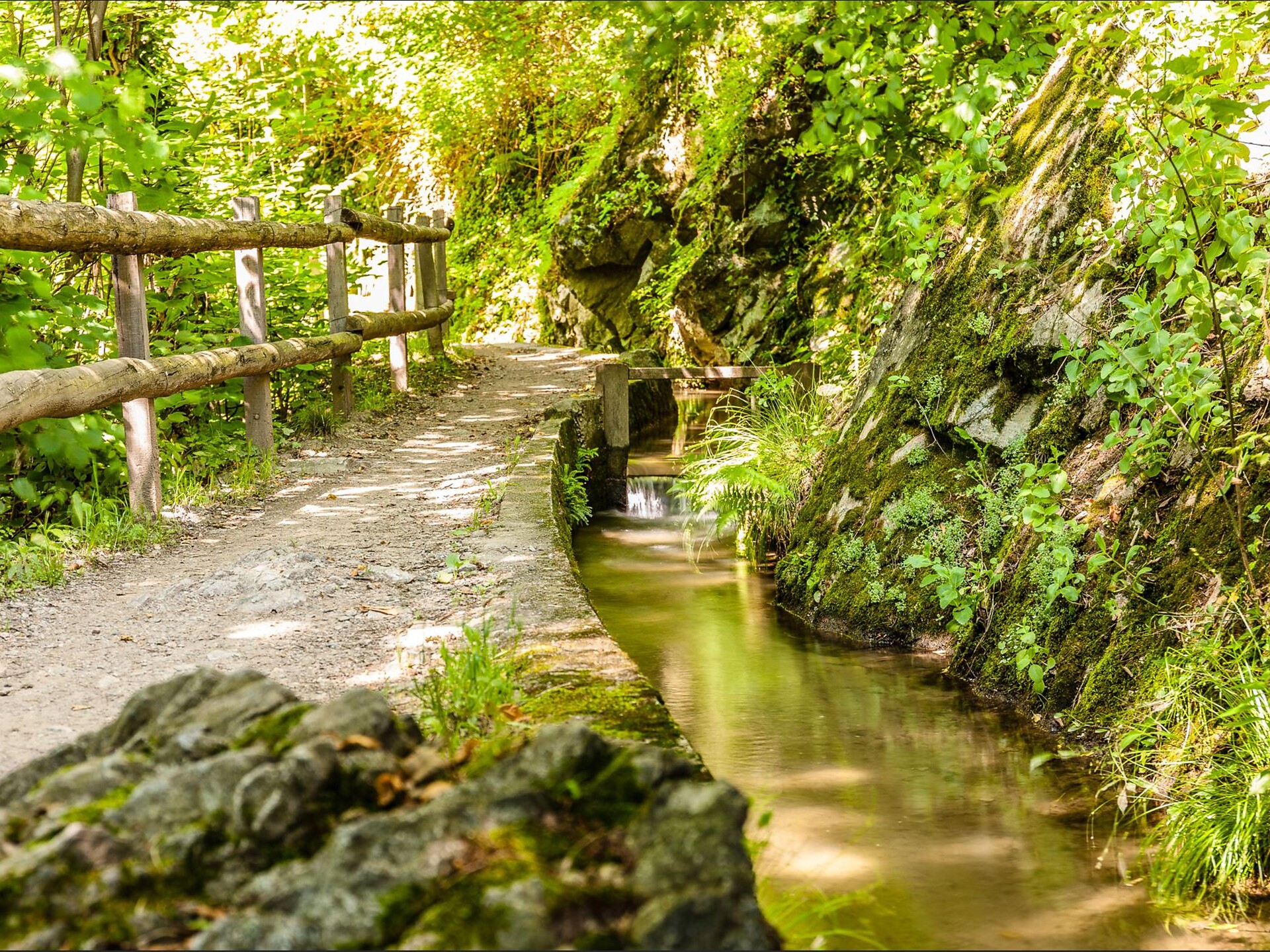 "Maiser Waalweg" trail