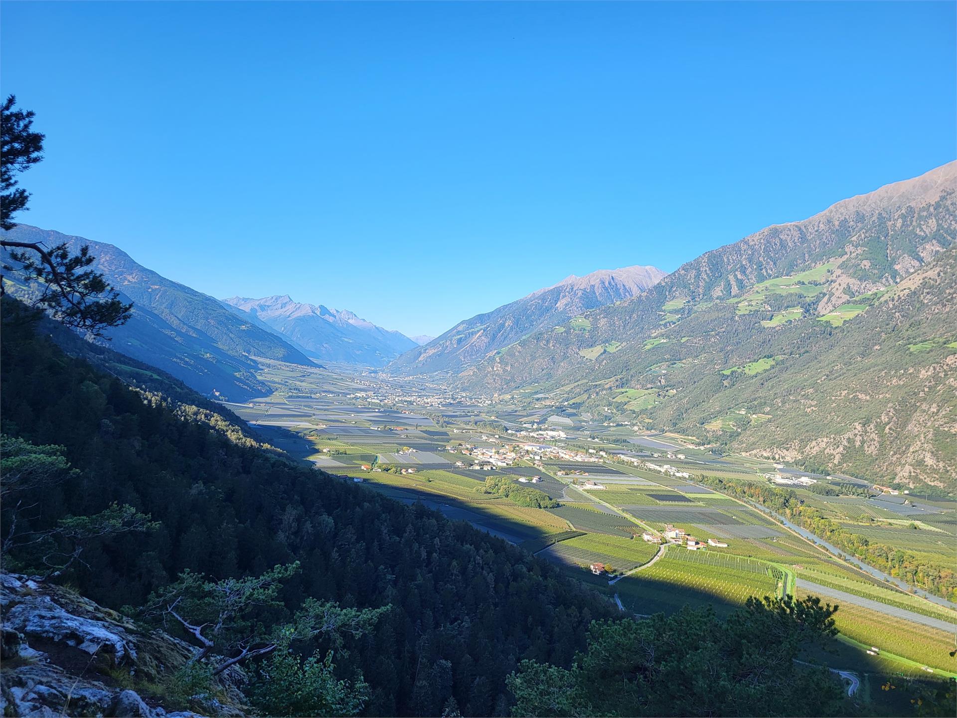 Hiking tour from Rabland to Aschbach Algund/Lagundo 5 suedtirol.info