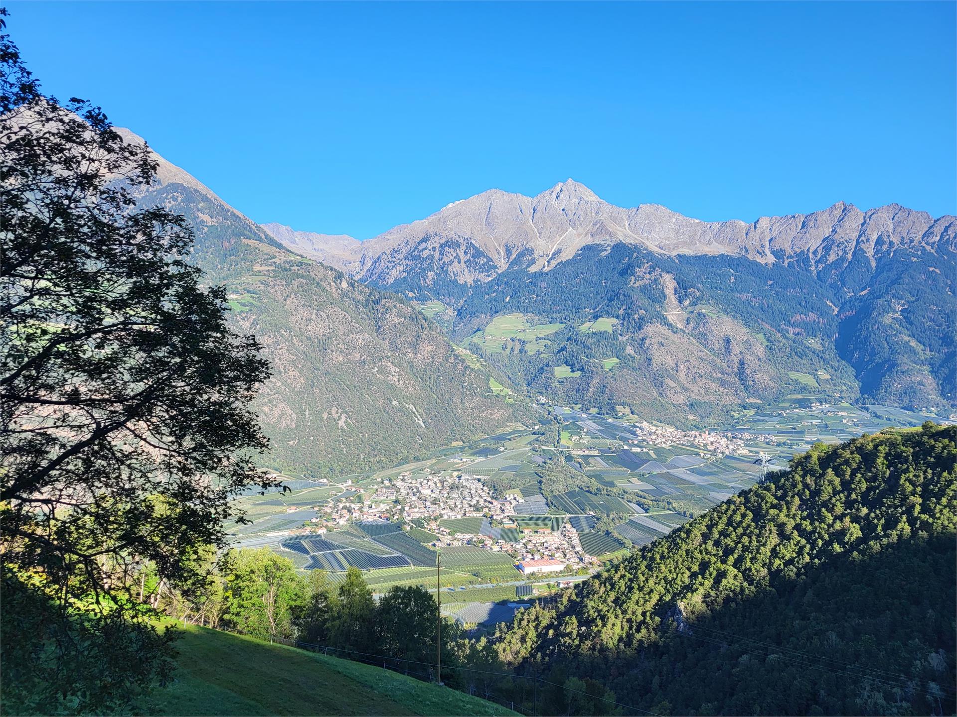 Hiking tour from Rabland to Aschbach Algund/Lagundo 6 suedtirol.info