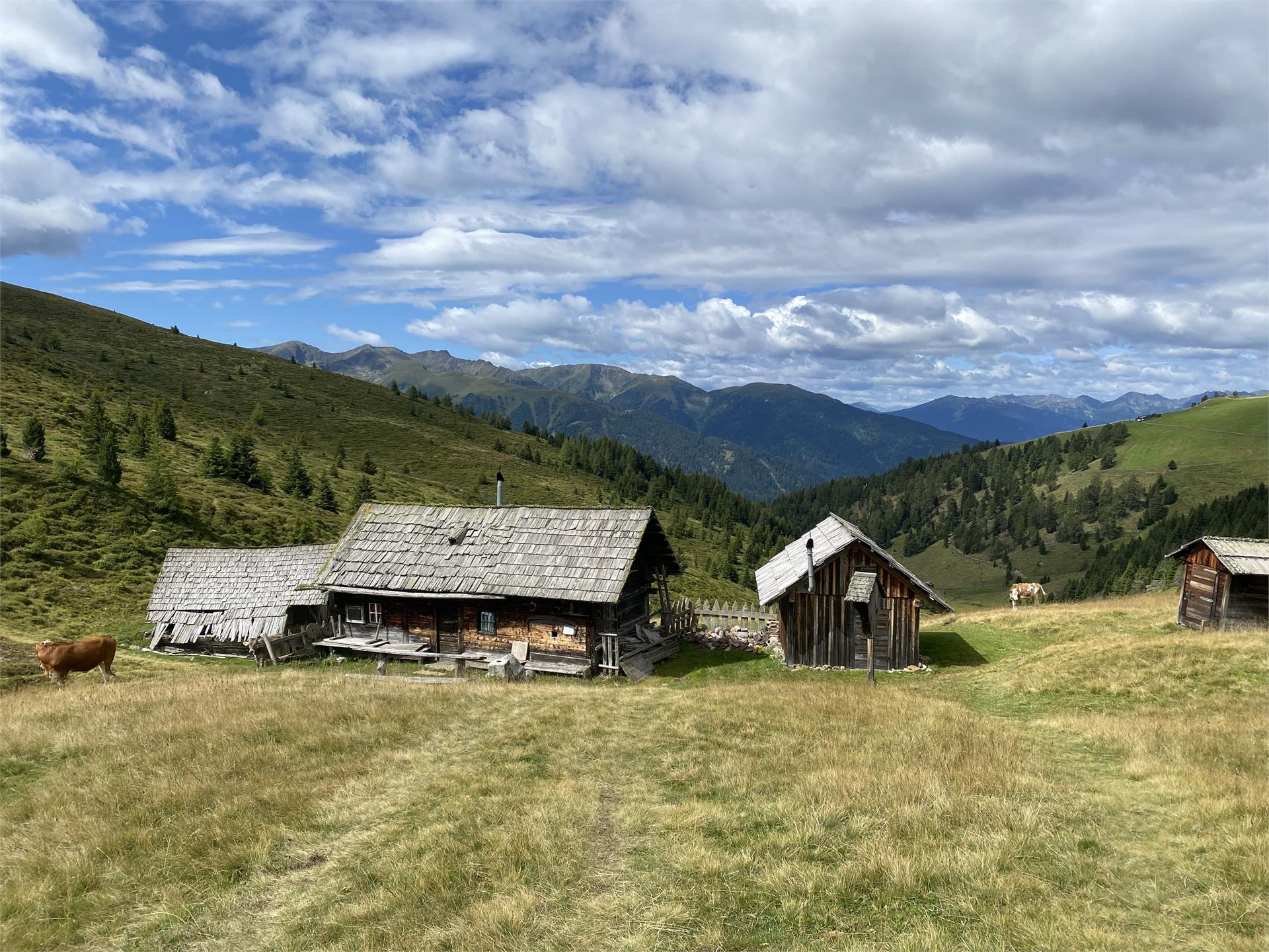 Vom Pe de Börz nach Lüsen Lüsen 2 suedtirol.info